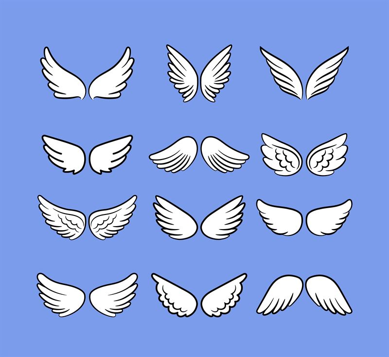 Cartoon angel wings set. Hand drawn wings isolated on white, cartoon b