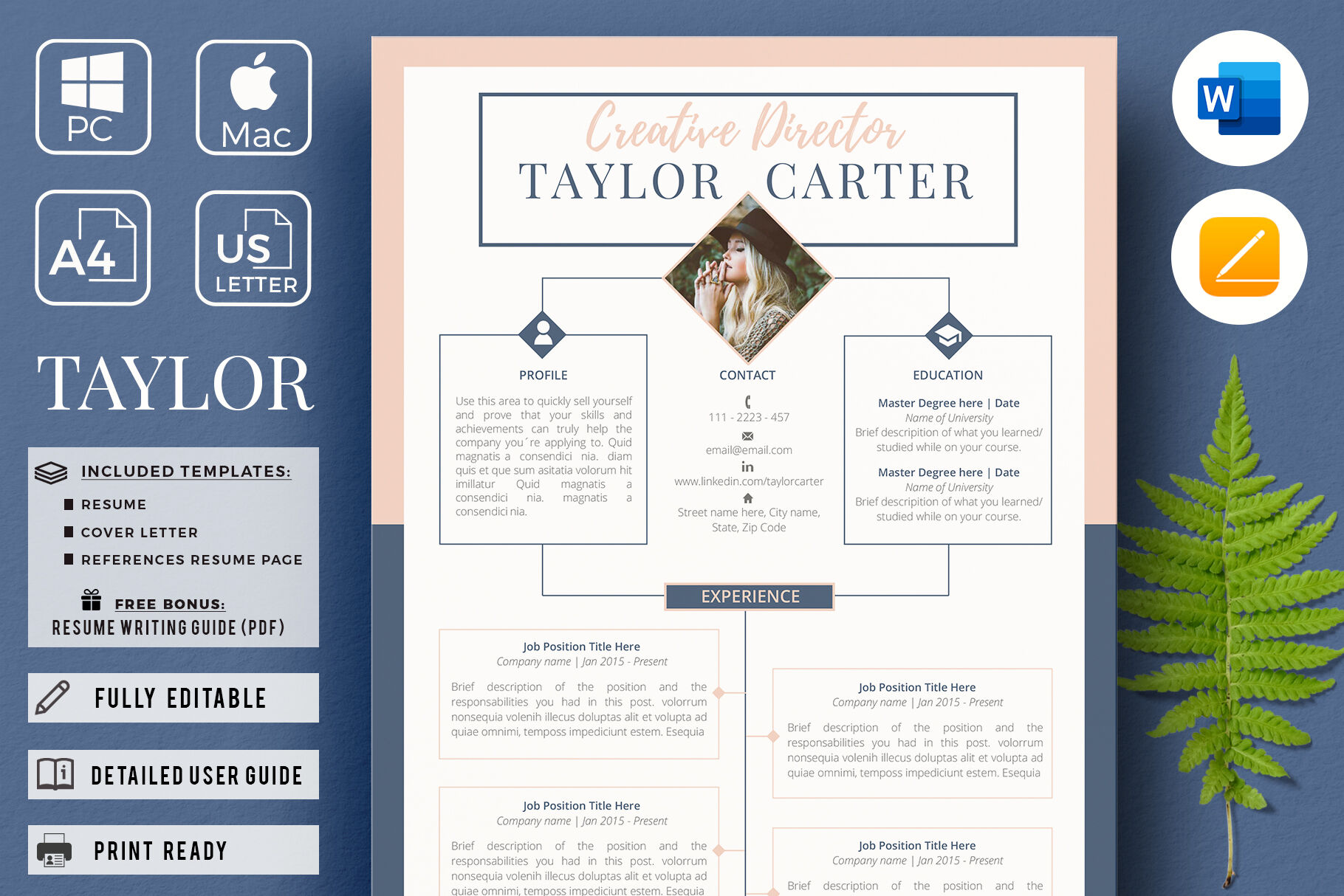 Creative Director Cover Letter Example (Free Guide)