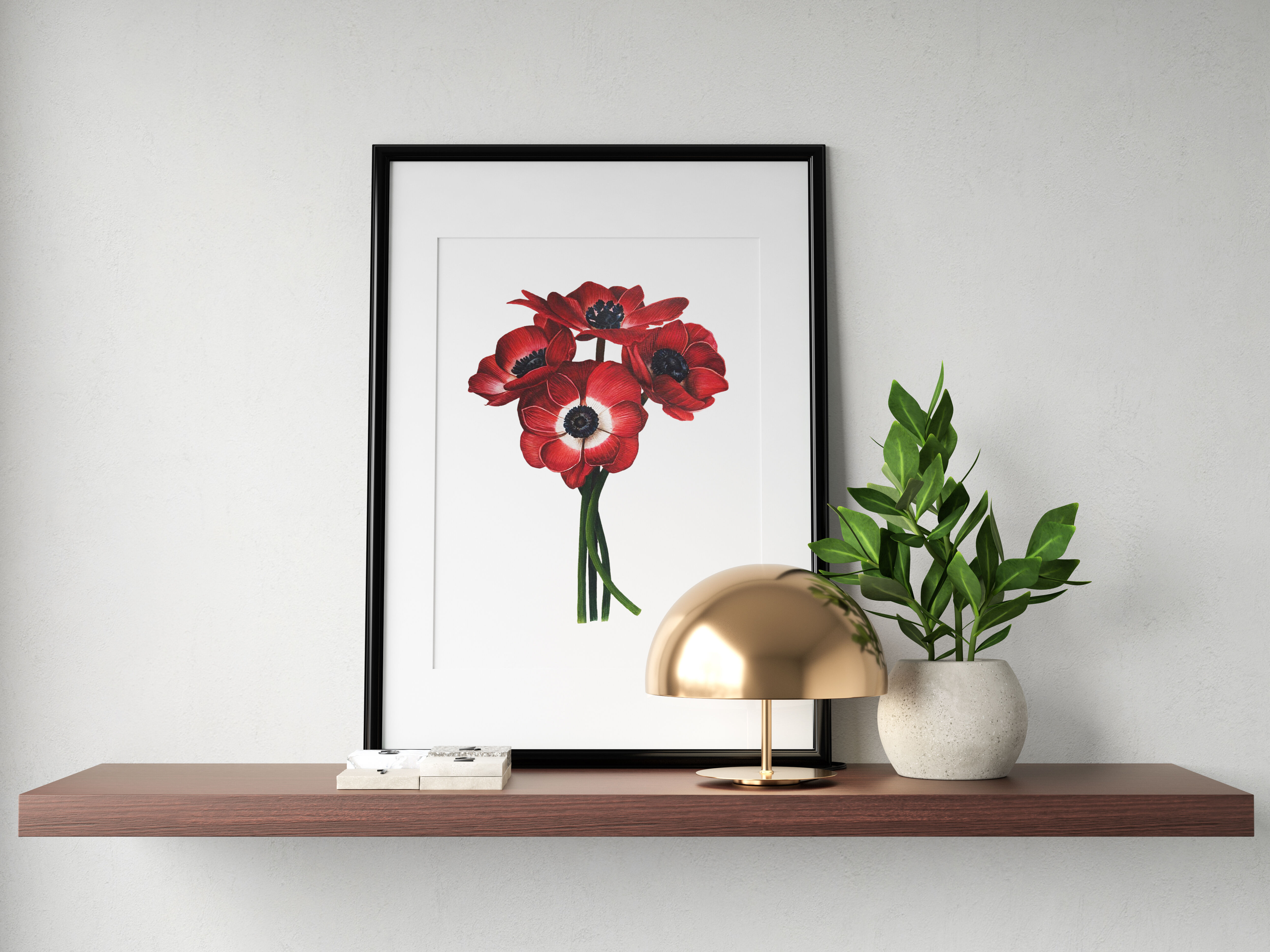 | botanical Watercolor TheHungryJPEG wall Anemones art illustration. ART-House Red By -