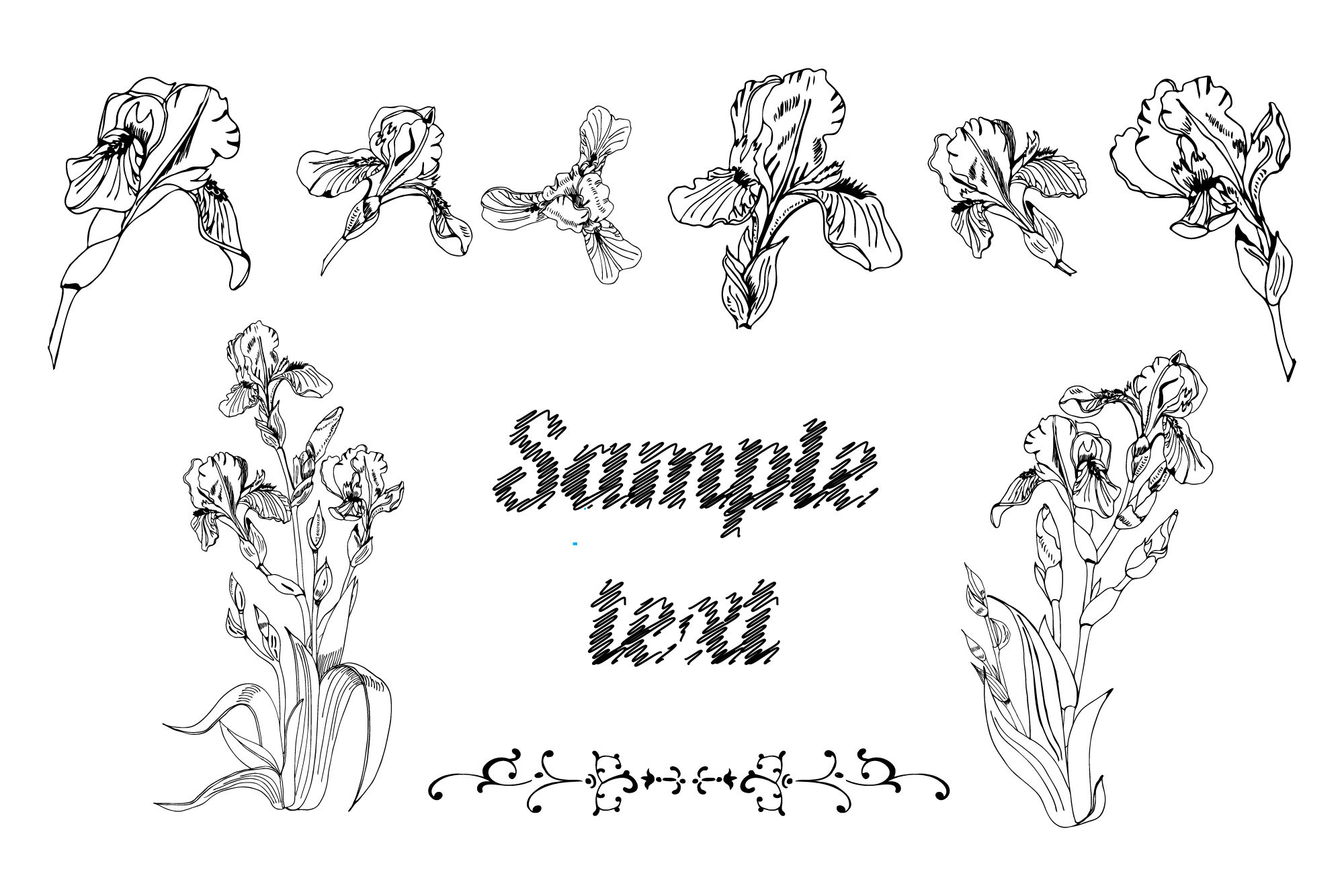 Hand Drawn Ink Sketch Of Iris Flowers Vector Elements By Mix4garden Thehungryjpeg Com
