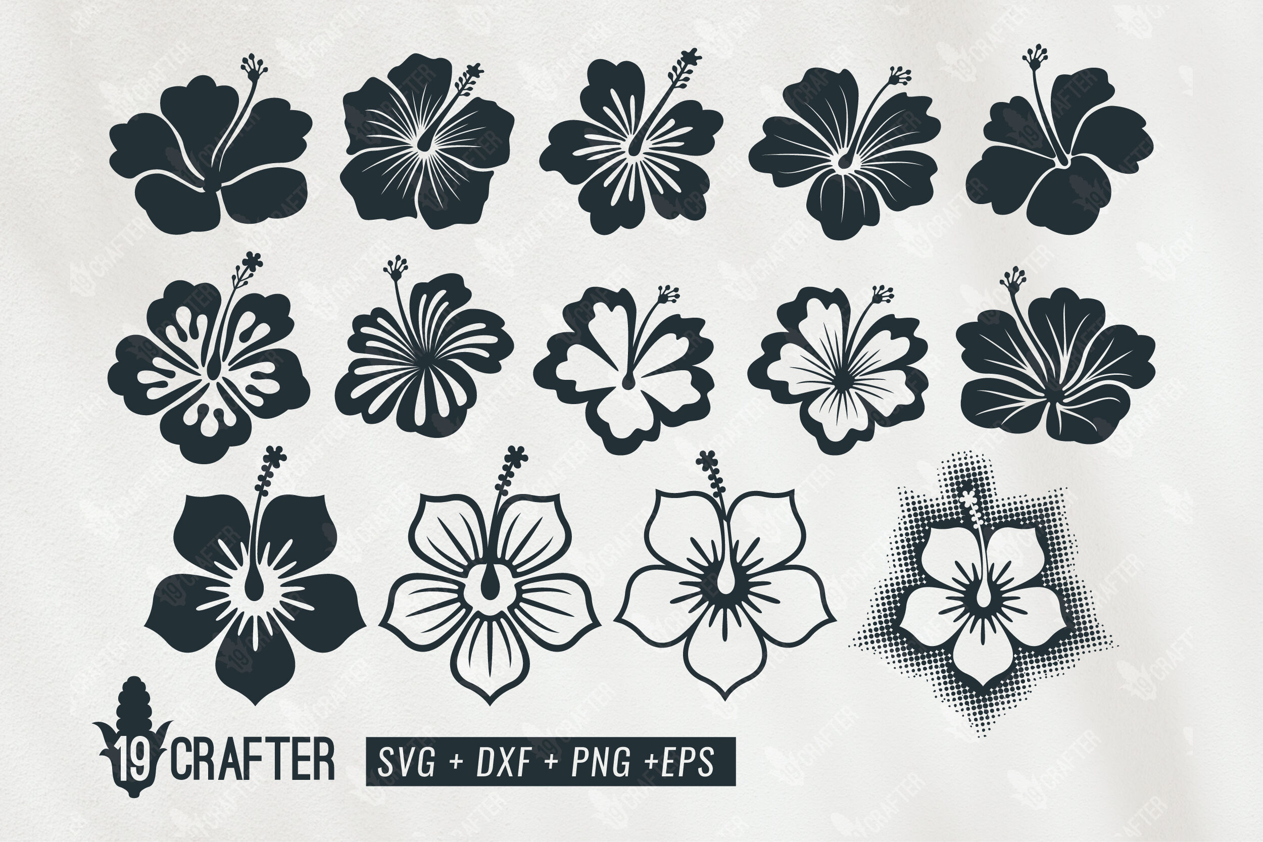Download Hibiscus Flower Svg Bundle By Greatype19 Thehungryjpeg Com