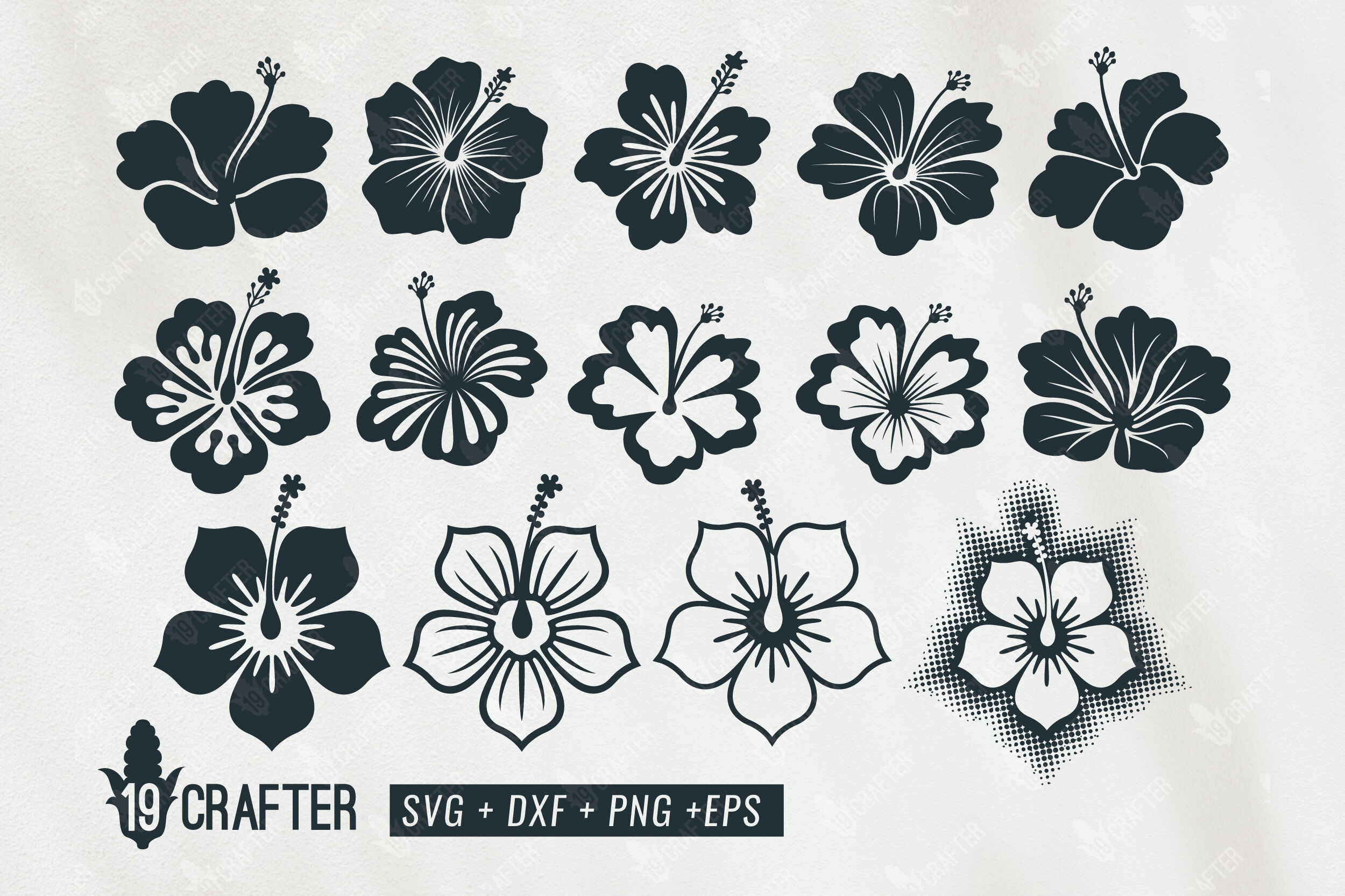 hibiscus flower svg bundle By greatype19 | TheHungryJPEG