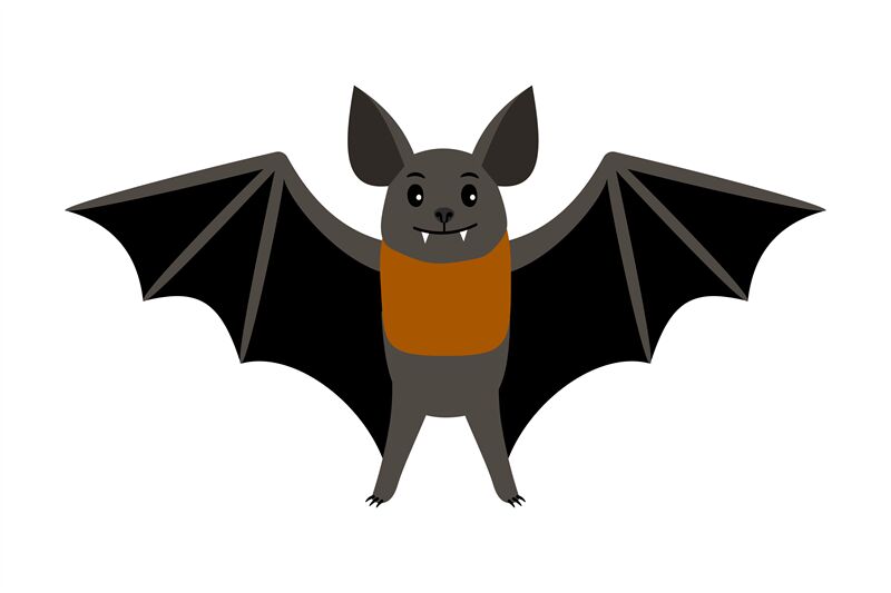 Download Bat. Vampire bat vector illustration scary halloween ...