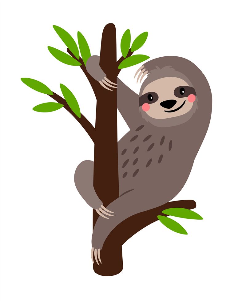 Sloth Cute Vector Sloth Bear Animal Character On Tree Branch Isolated