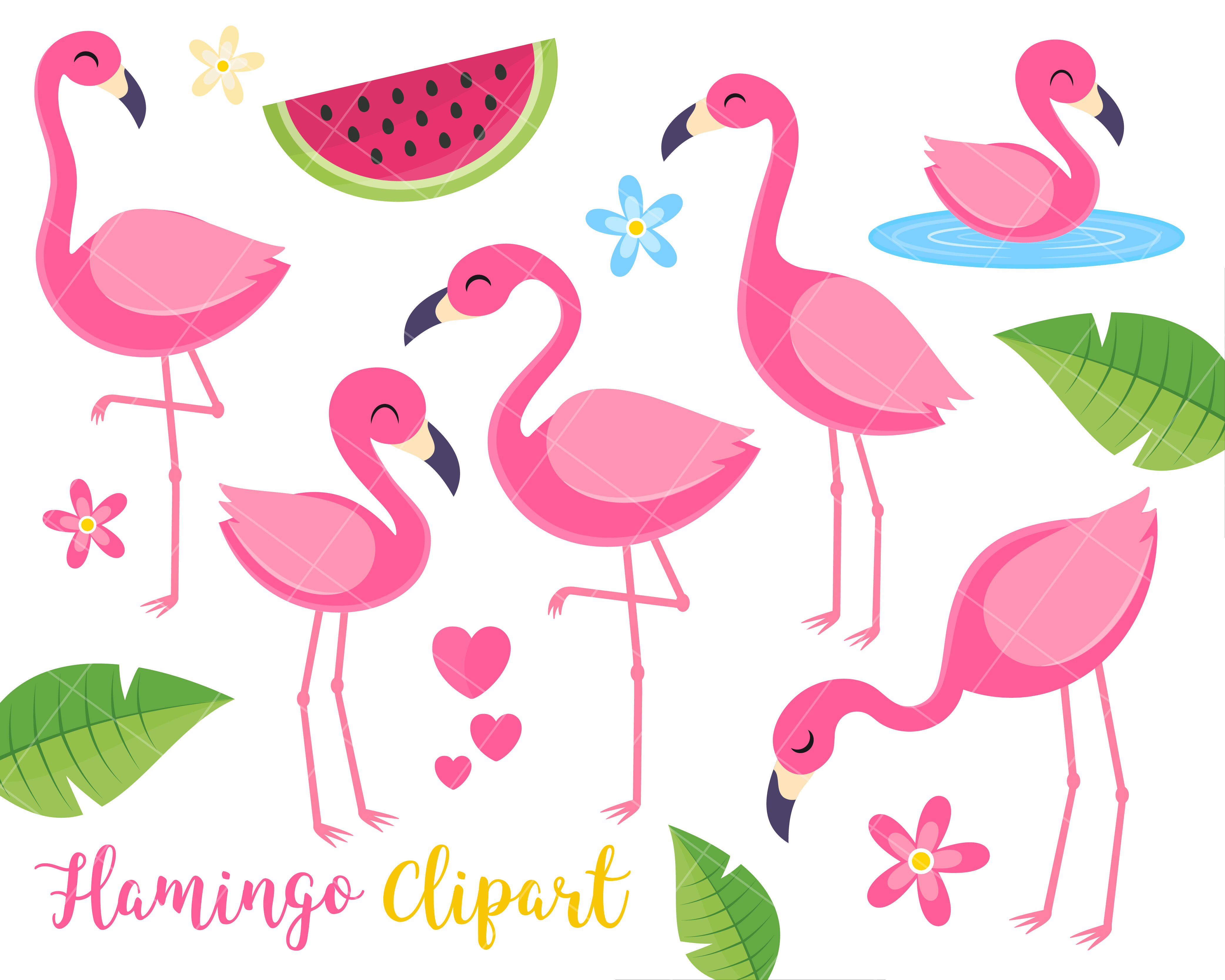 Flamingo Clipart, Tropical Summer Clipart, Birds, Tropical plants, By ...