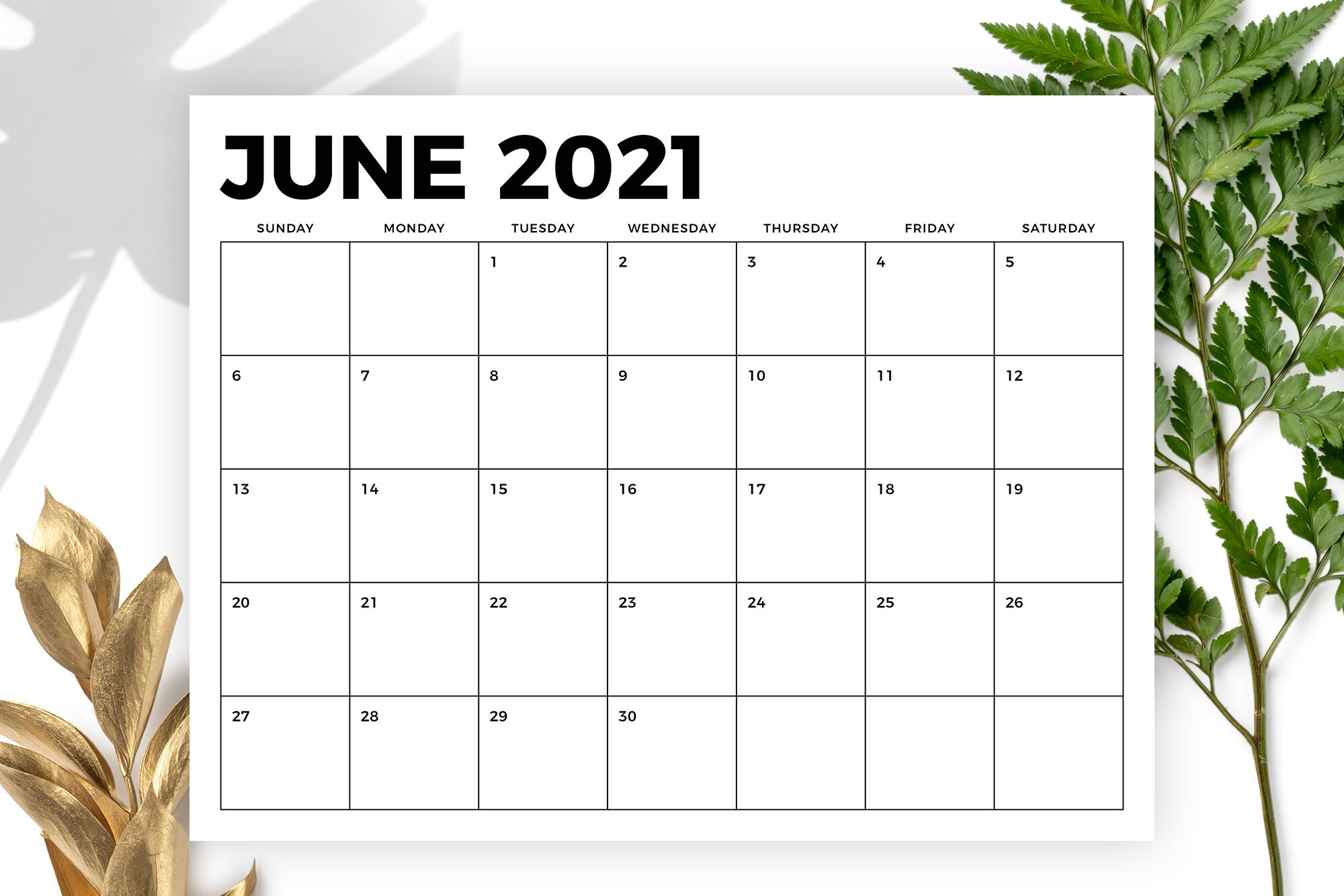 8 5 X 11 Inch Bold 2021 Calendar By Running With Foxes Thehungryjpeg Com