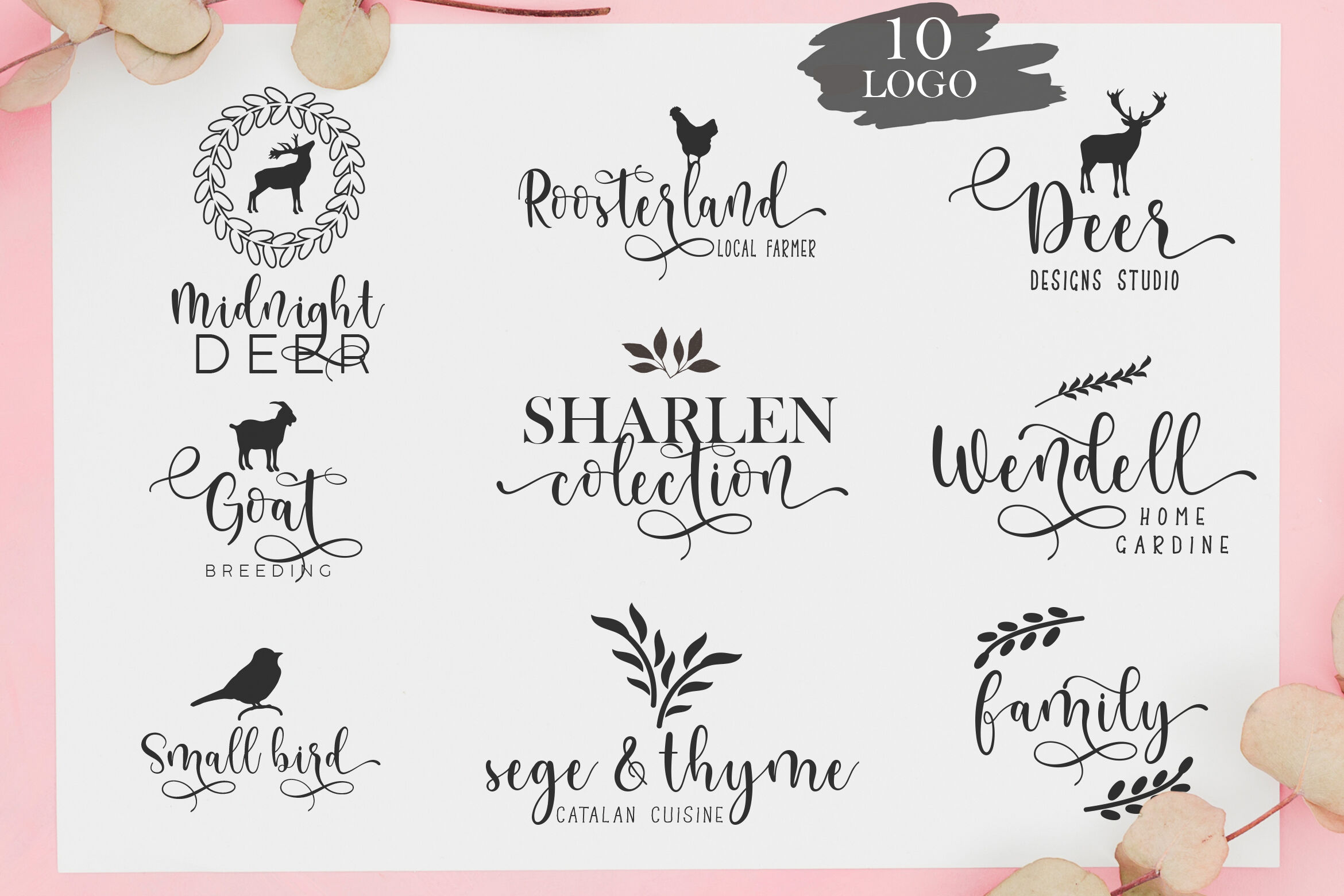 Beauty Sript Font Bonus 10 Logos 81 Icon By Star Studio Thehungryjpeg Com