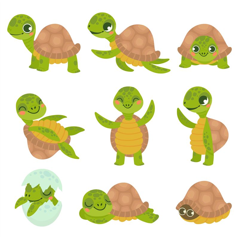 Cartoon smiling turtle. Funny little turtles, walking and swim tortois ...