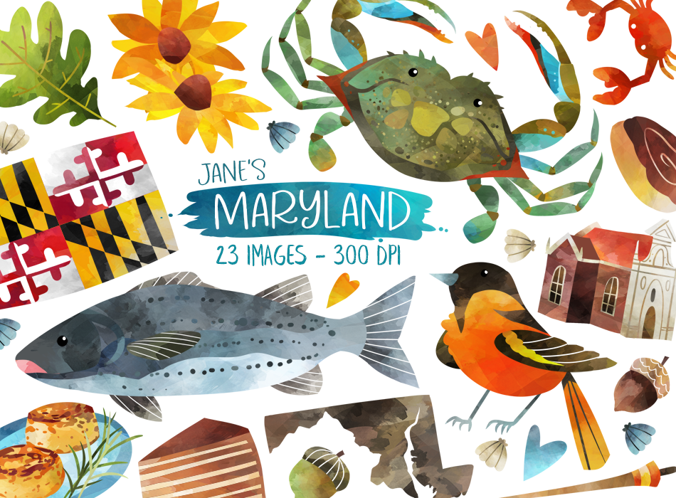 Watercolor Maryland Clipart By Digitalartsi Thehungryjpeg Com