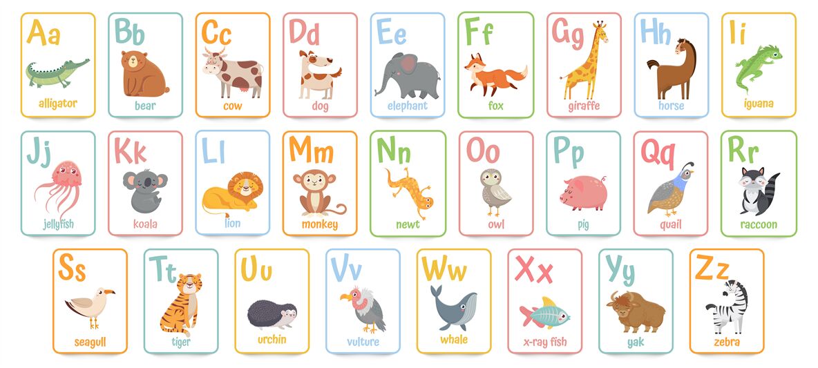Alphabet Cards For Kids Educational Preschool Learning ABC Card With 