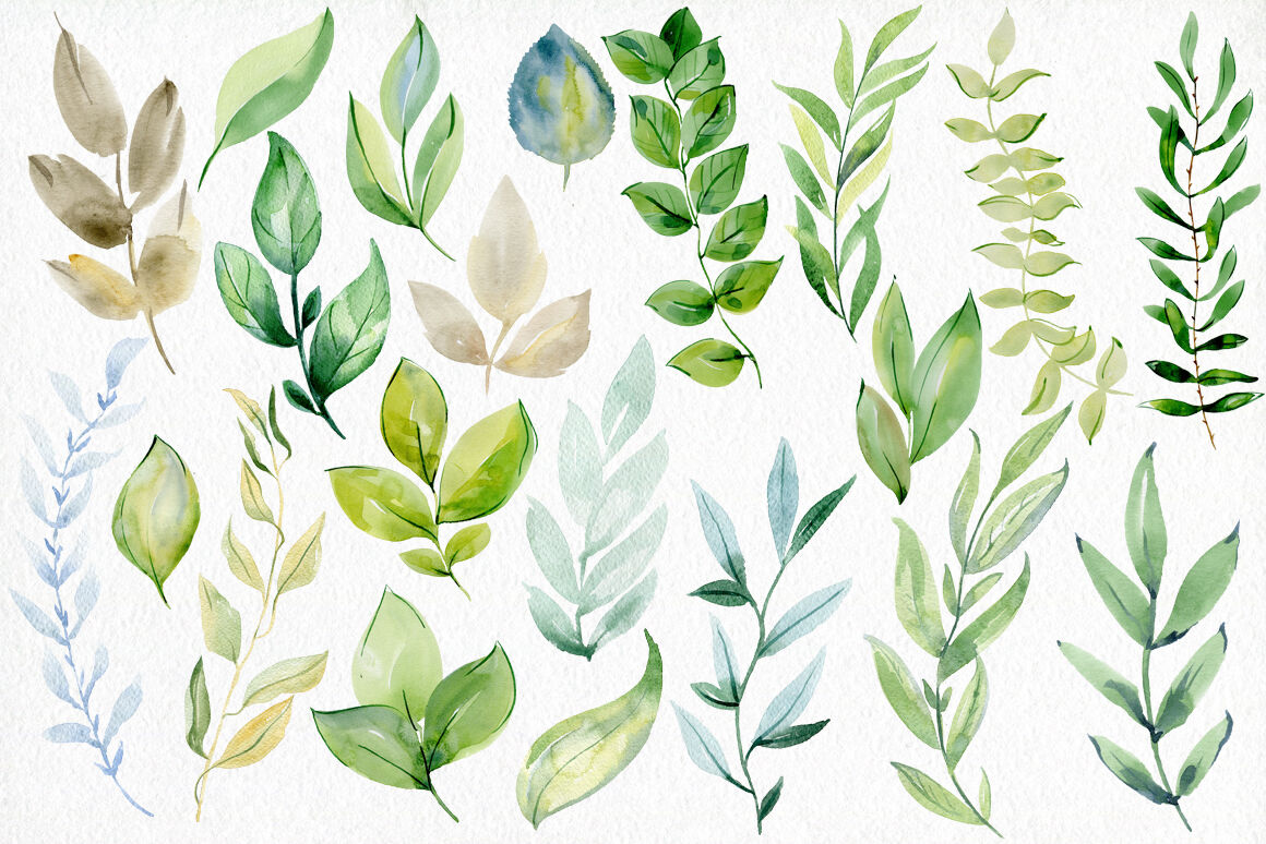 Watercolor leaves clipart By TapilipaArt