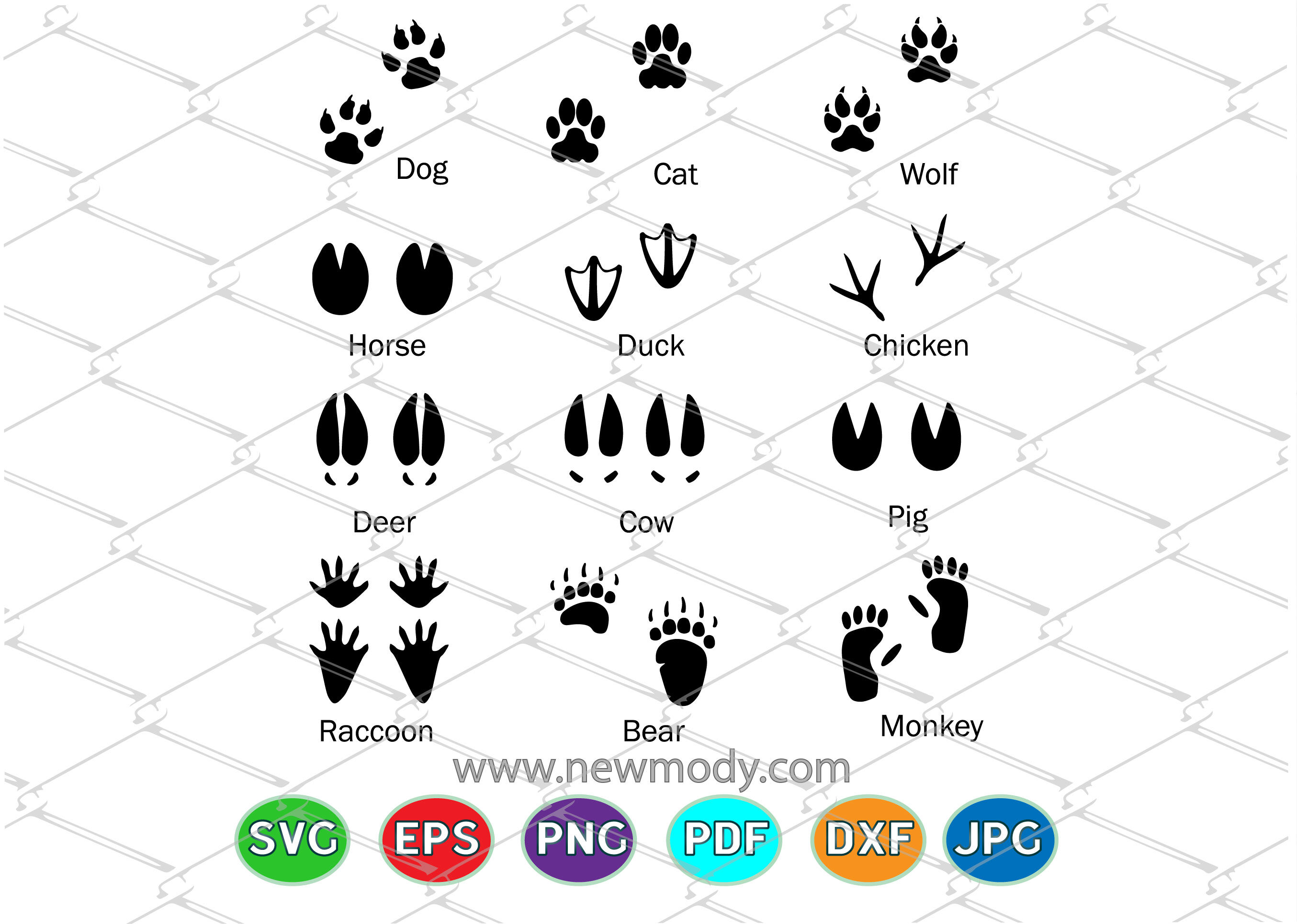 Animal Tracks Svg Bundle 12 Different Animal Footprints Svg By Amittaart Thehungryjpeg Com