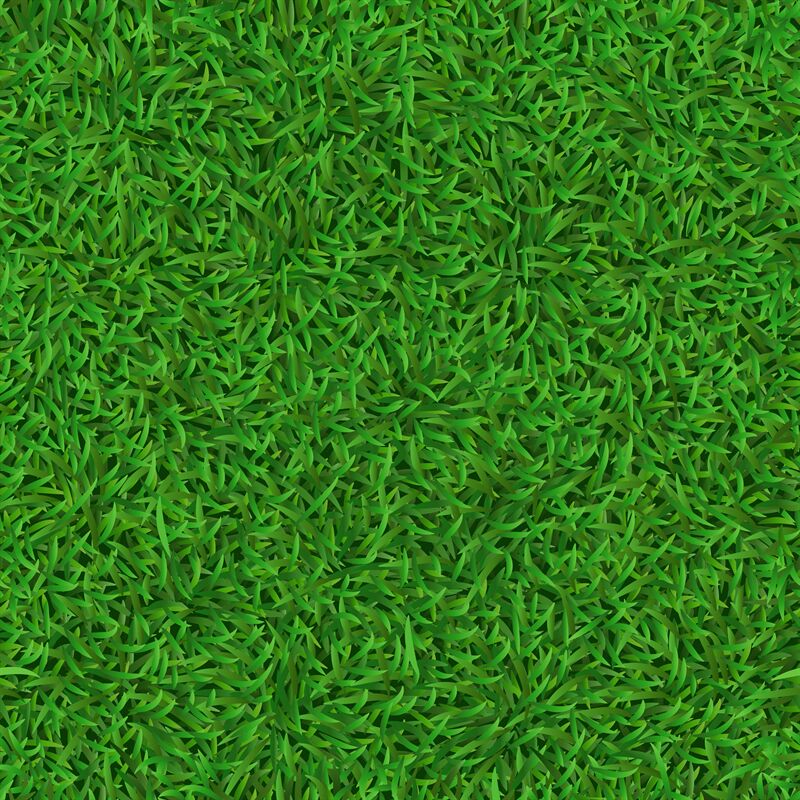 Realistic Seamless Green Lawn Grass Carpet Texture Fresh Nature Cove