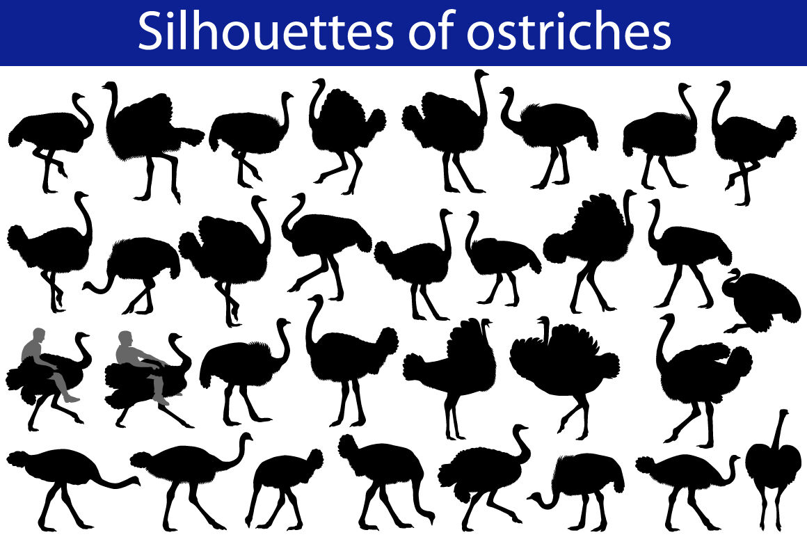 Silhouette of ostrich By Viktoria1703 | TheHungryJPEG.com