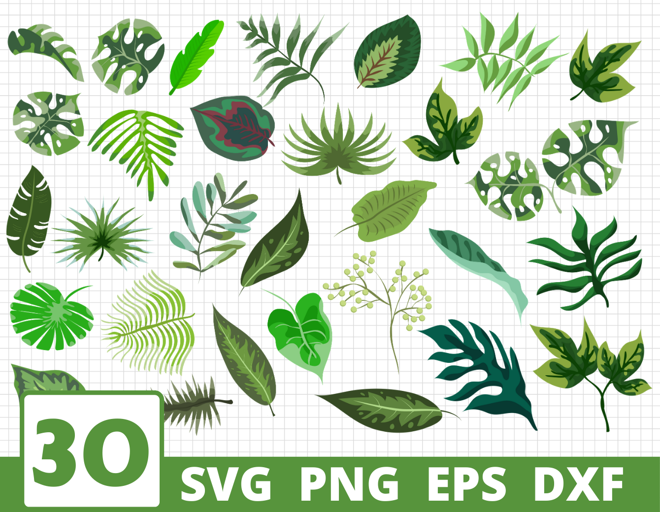 Download Tropical Leaves Svg Bundle Leaves Clipart Leaves Cricut By Svgocean Thehungryjpeg Com