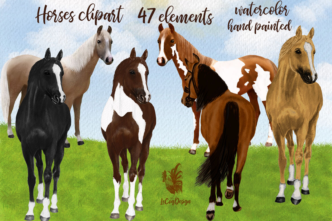 Download Watercolor Horse clipart,Horse breeds,Horse graphics png ...