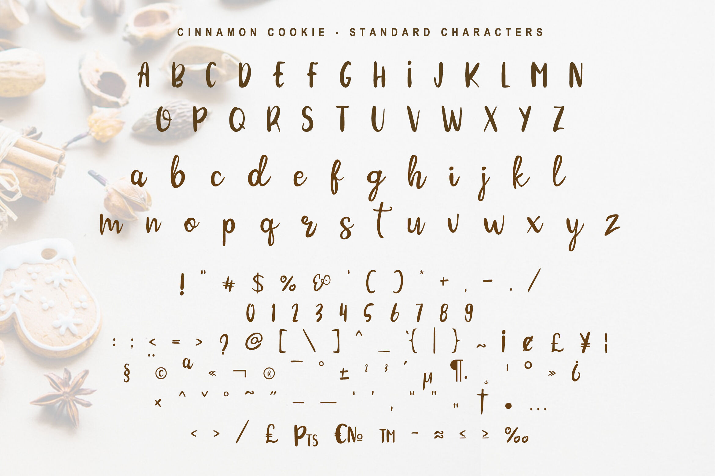Cinnamon Cookie Two Style Font By Tigade Std Thehungryjpeg Com