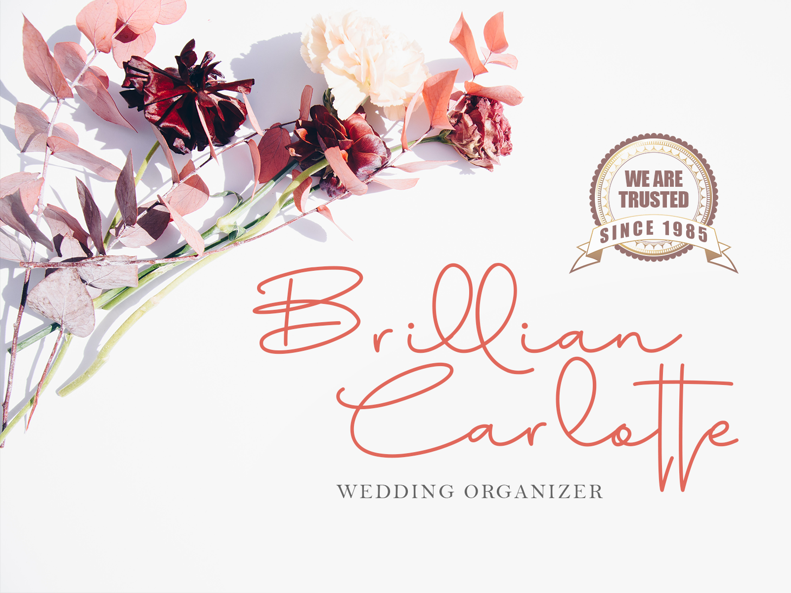 Aline signature font elegant by kongfont thehungryjpeg