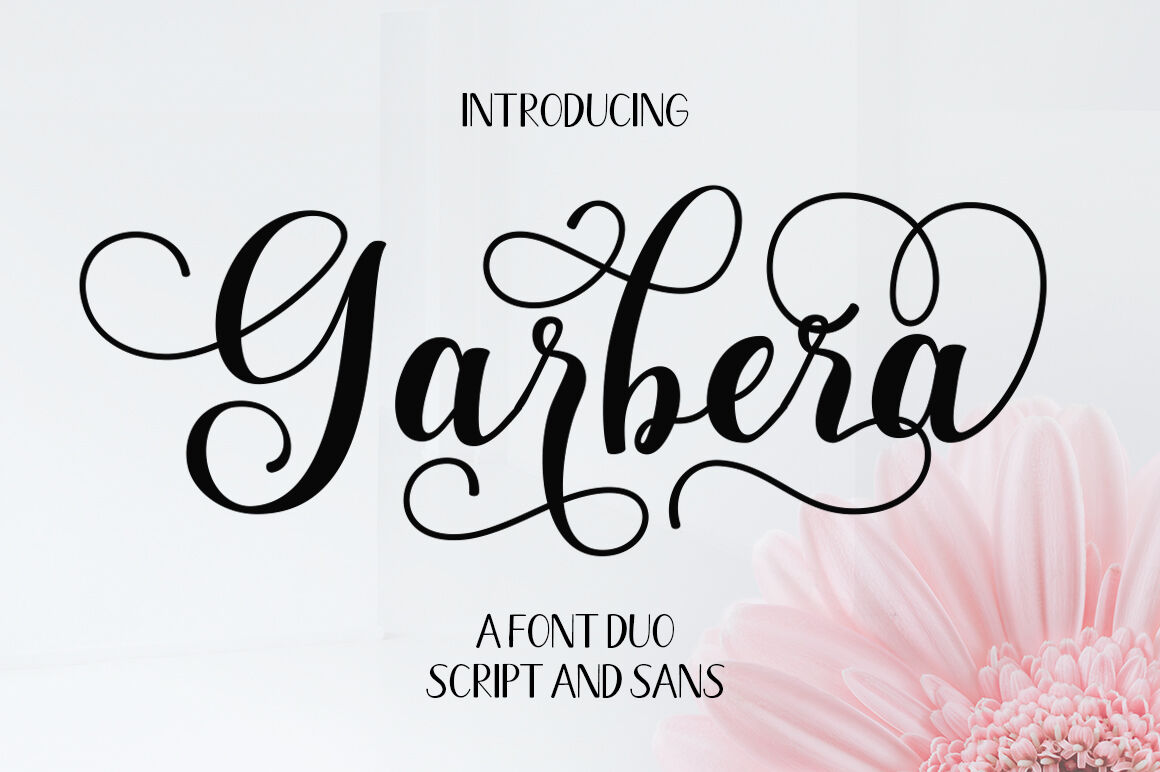 Garbera Script Font Duo By Keren Studio Thehungryjpeg Com