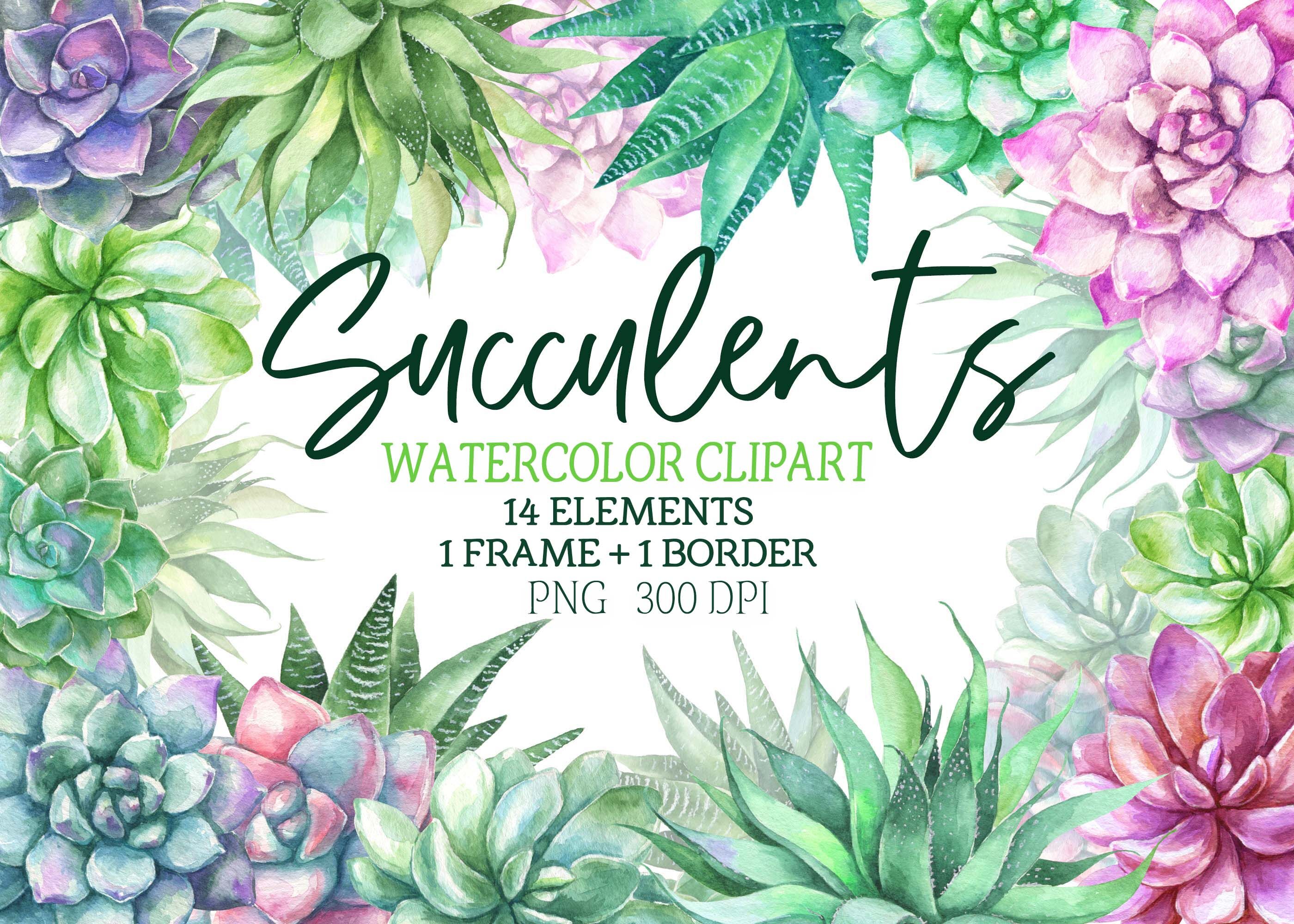 Download Watercolor Succulent Frames Clipart Images Watercolor Clip Art Cactus Art Iu132 Succulent Wreath Arrangement Bloom Frame Digital Printable Clip Art Art Collectibles