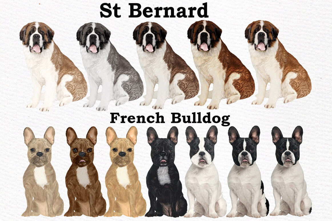 Download Dogs Clipart Dog breeds Pet clipart Watercolor dogs ...