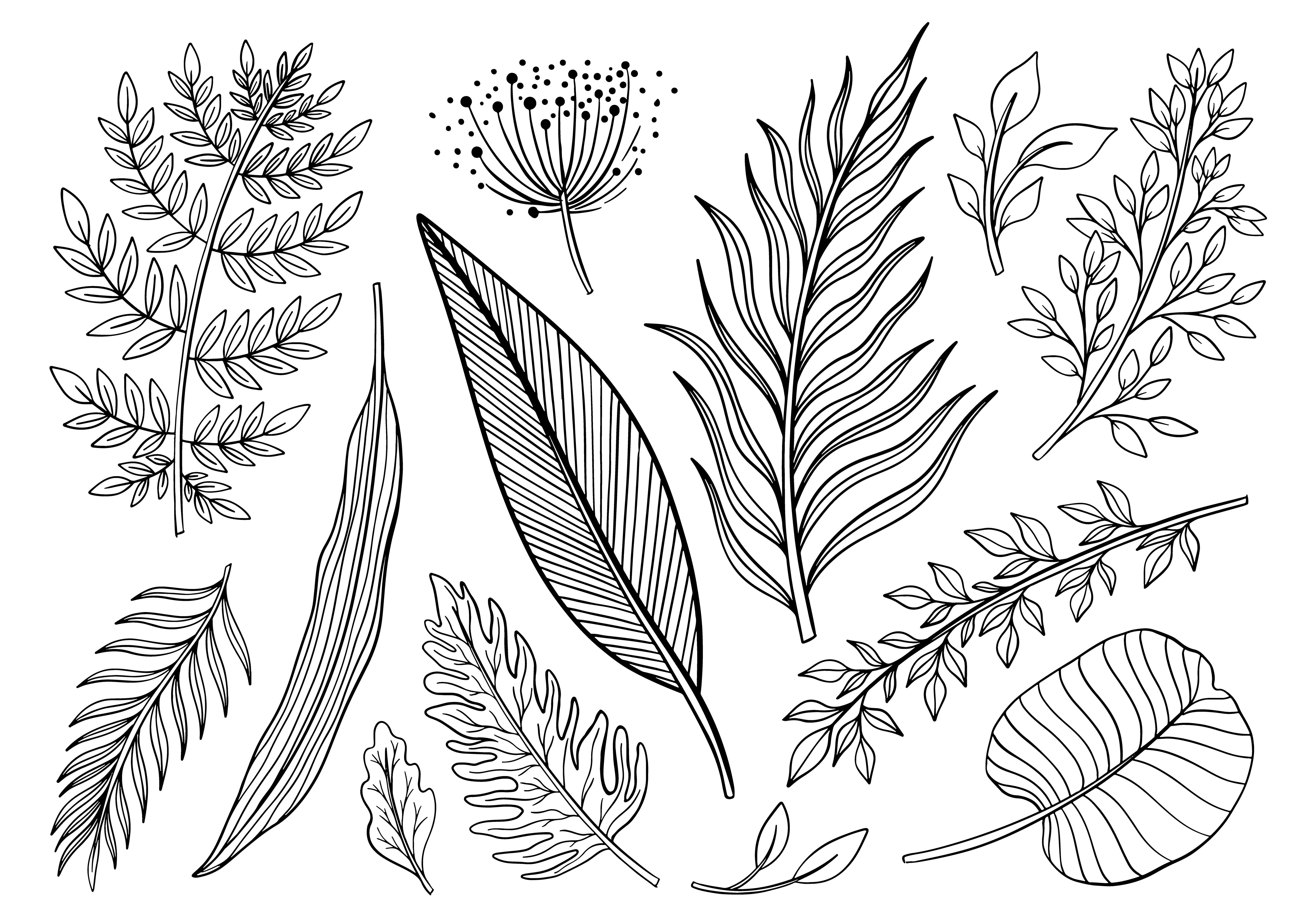 Set plant line drawing By Arina Pictures | TheHungryJPEG.com