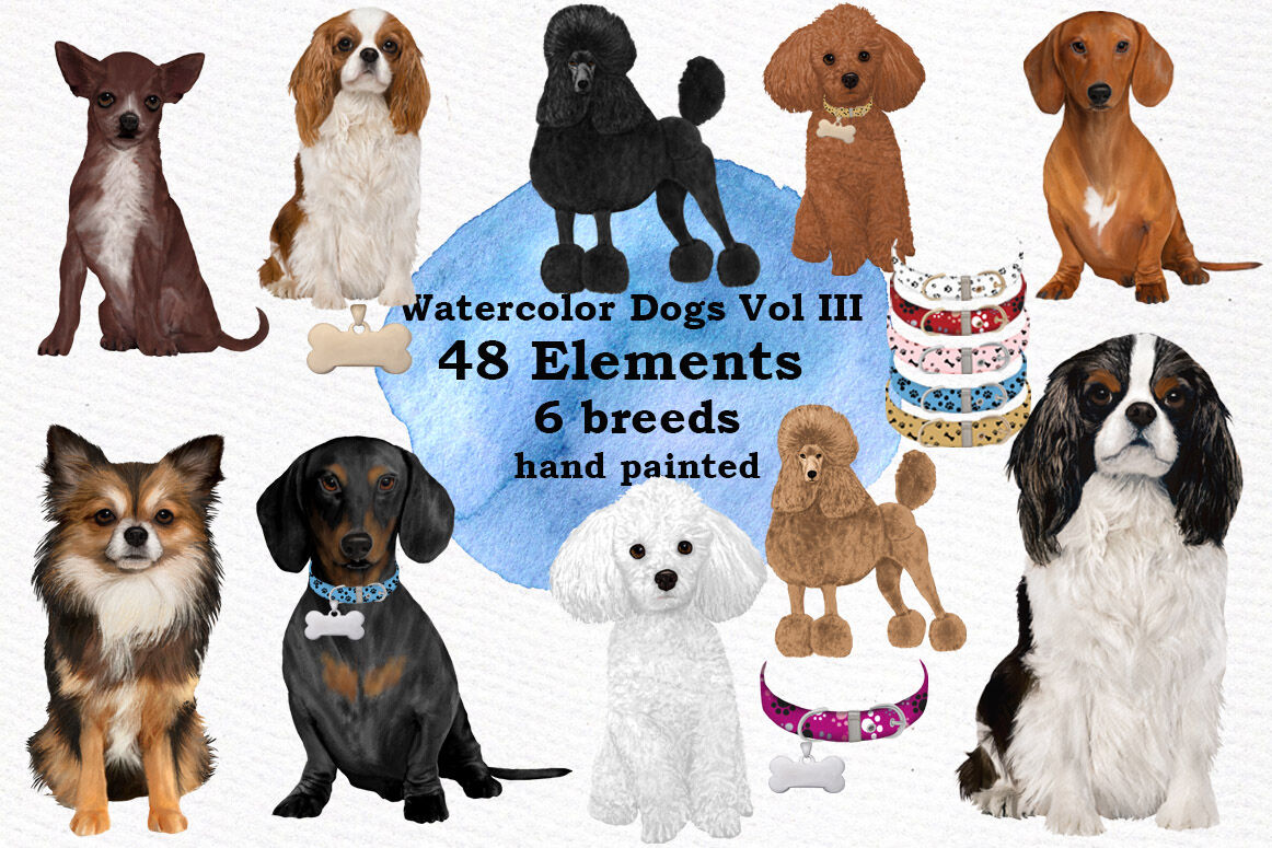 Download Dog Clipart Dog breeds Pet clipart Watercolor dogs clipart ...