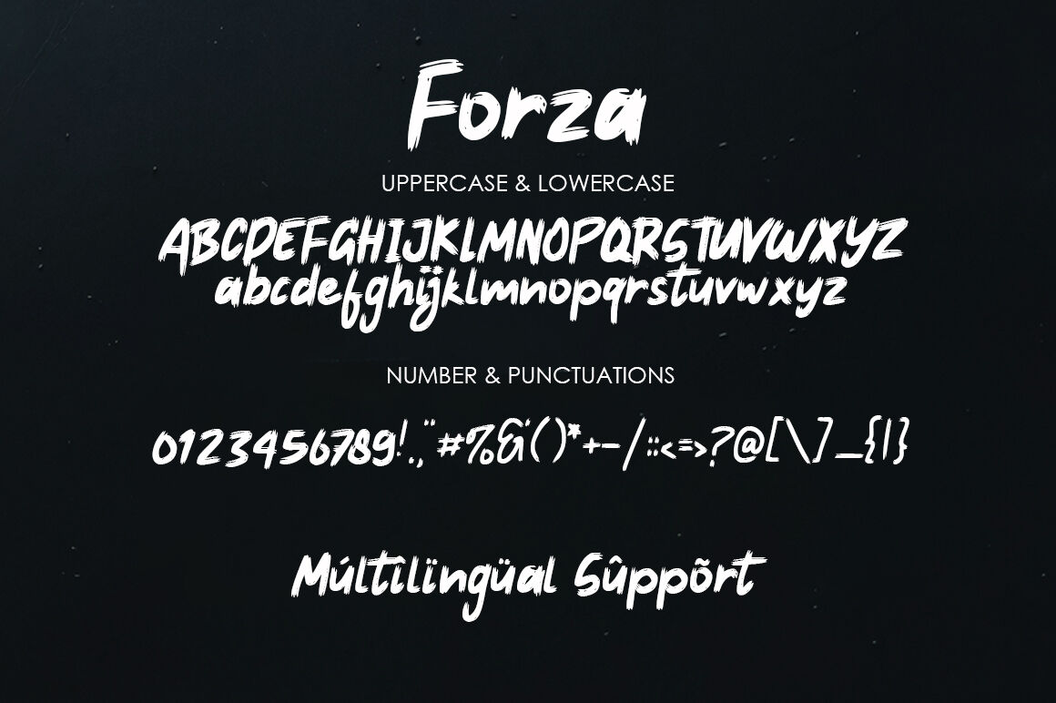 Forza Brush Typeface Font By Green Adventure Studio Thehungryjpeg Com