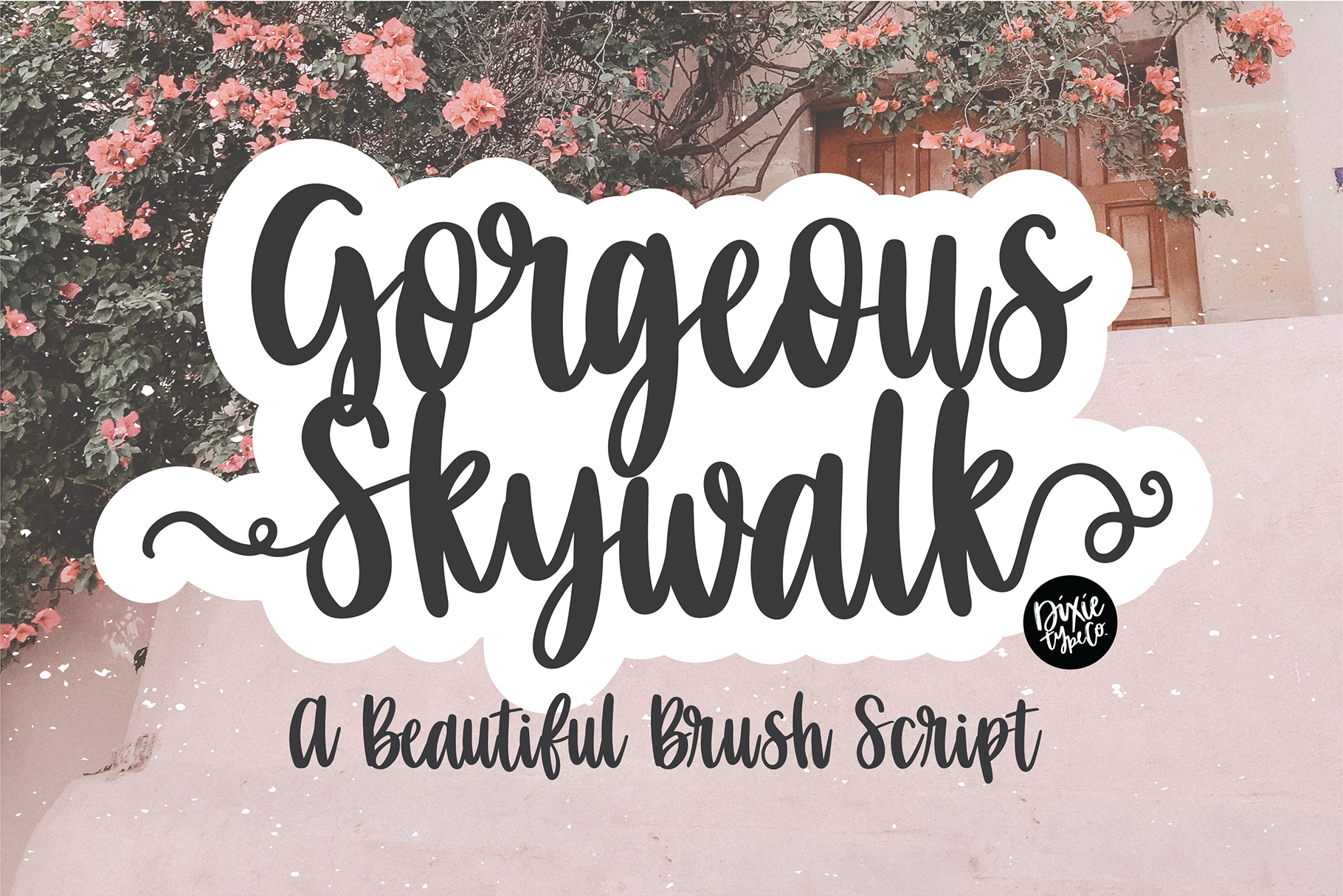 Gorgeous Skywalk A Beautiful Brush Script By Dixie Type Co Thehungryjpeg Com