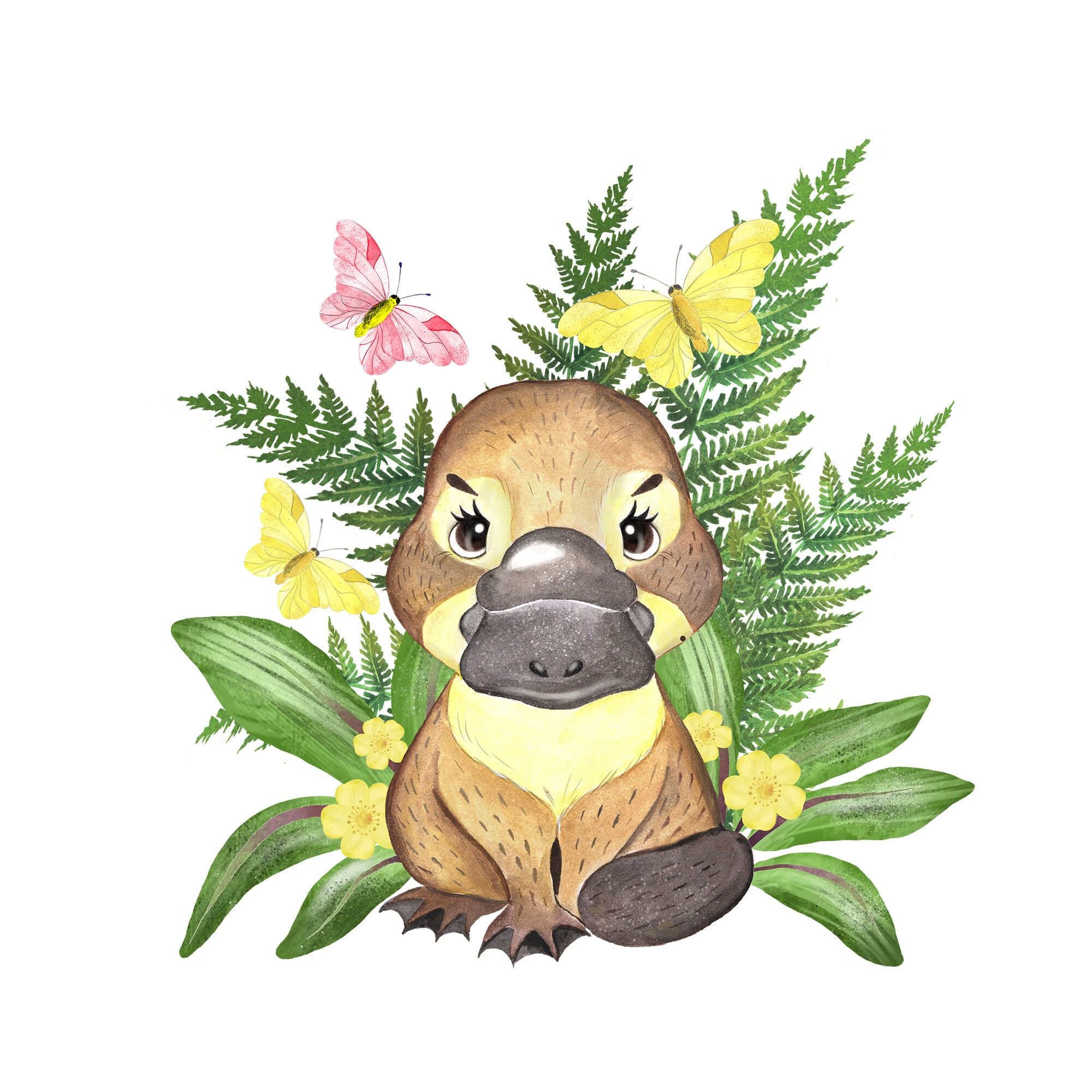 Download Australian animals clipart. Koala clipart. Watercolor baby ...