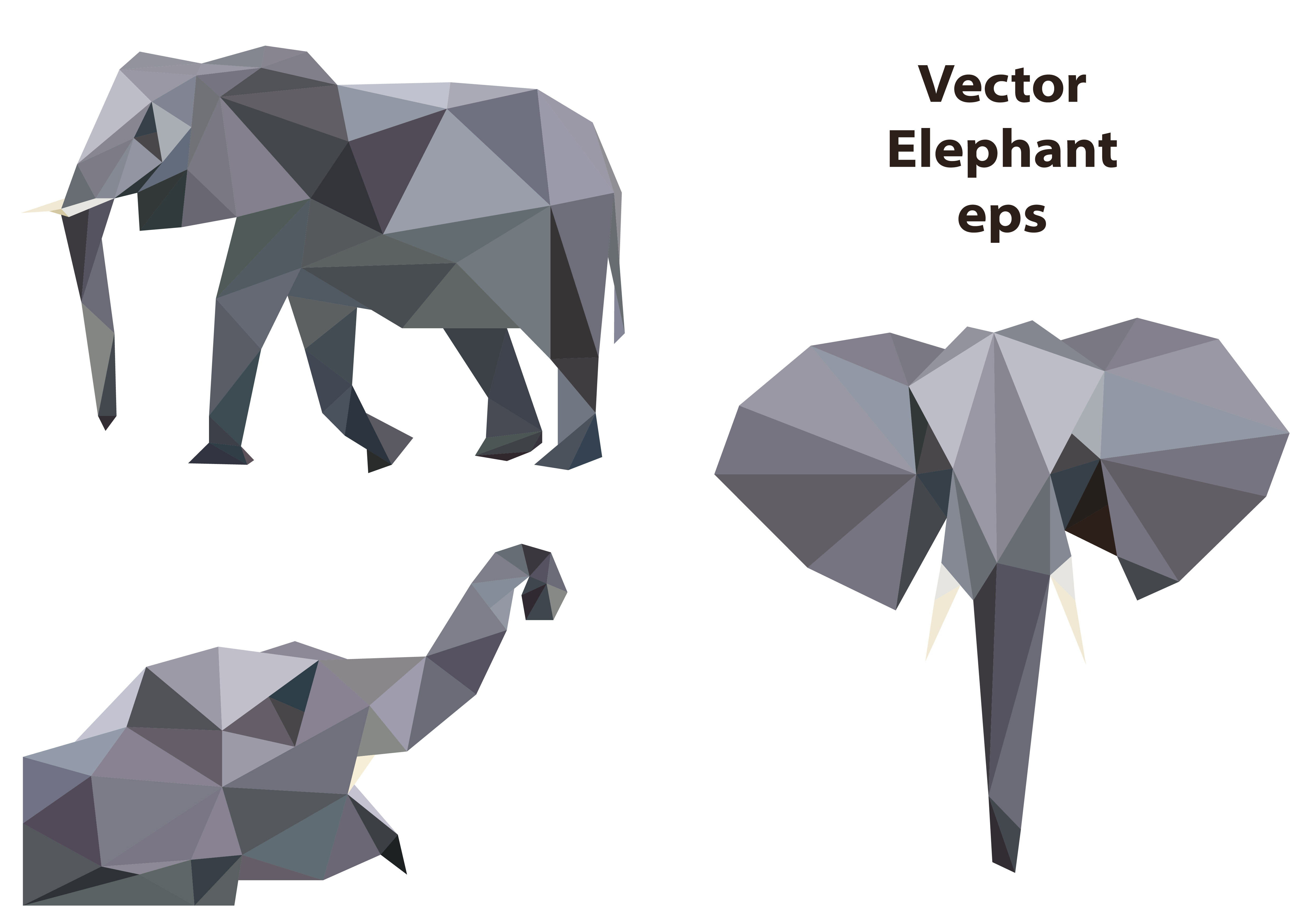 Vector Elephant set. Elephant Triangle Geometric ...