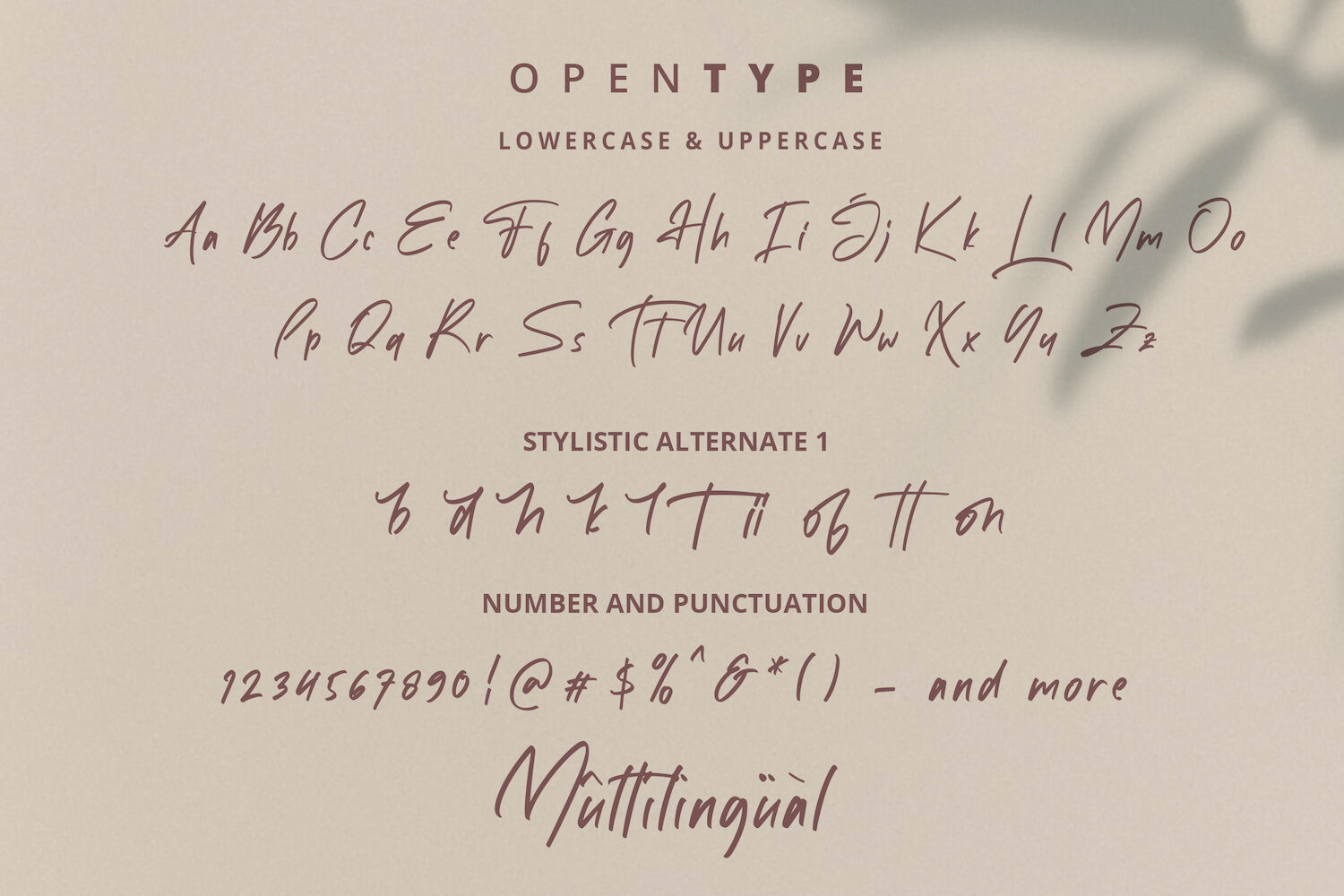 White Mellow Handwritten Script Font By Stringlabs Thehungryjpeg Com