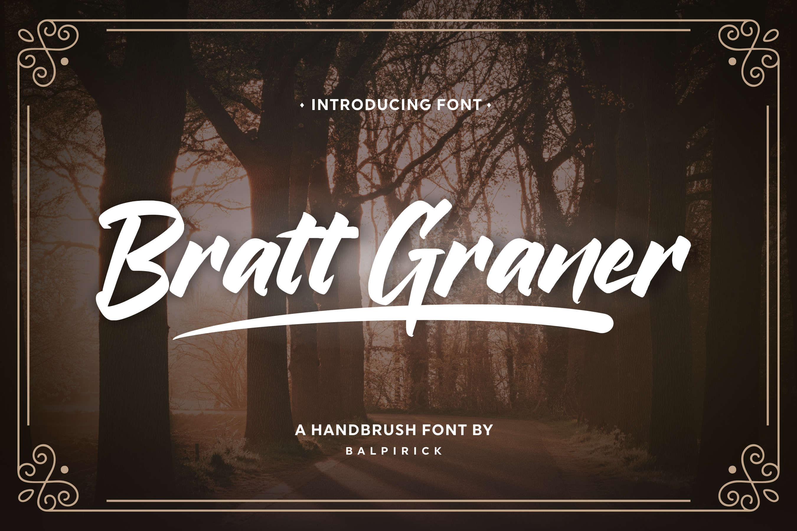 Bratt Graner Handbrush Font By Balpirick Studio Thehungryjpeg Com