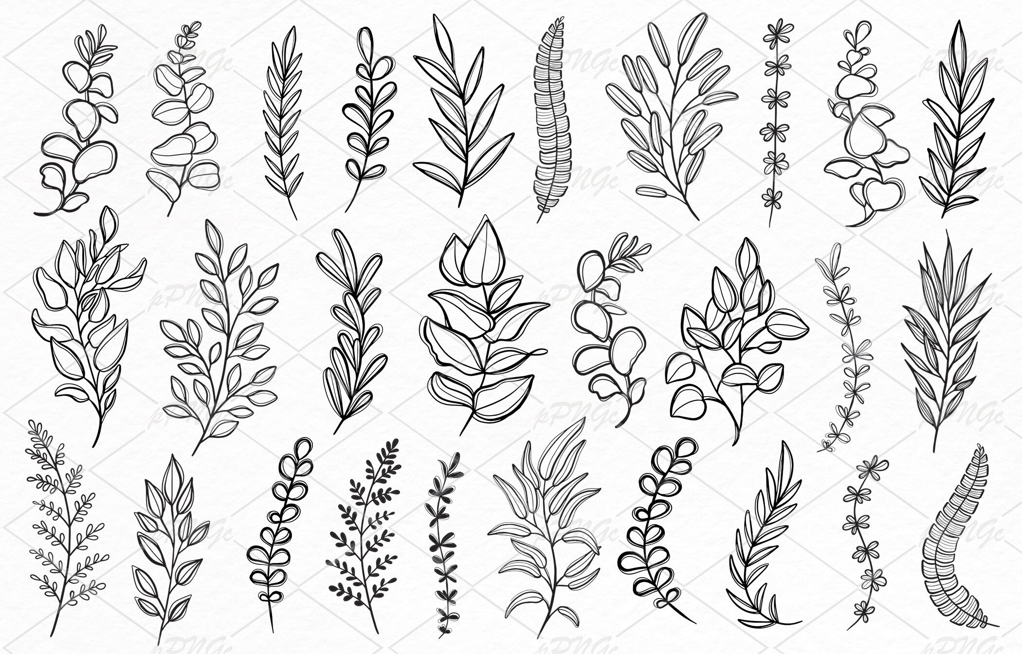 Herbs Clipart Black And White Tree