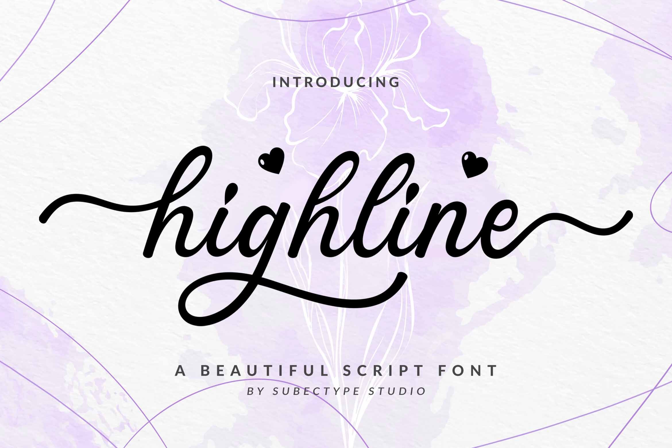 Highline Beautiful Script Font By Subectype Thehungryjpeg Com