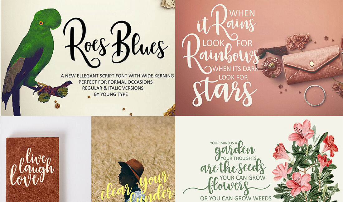 Handlettered Font Bundle By Youngtype Thehungryjpeg Com