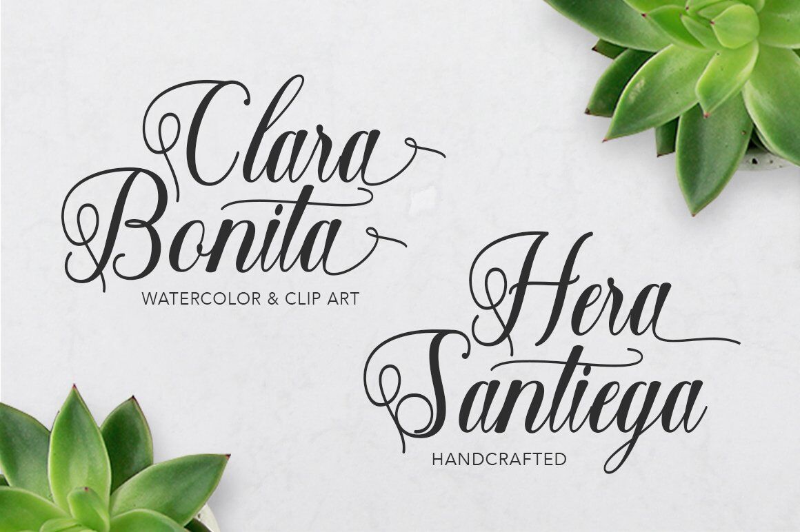 Shantea Script By Solidtype Thehungryjpeg Com