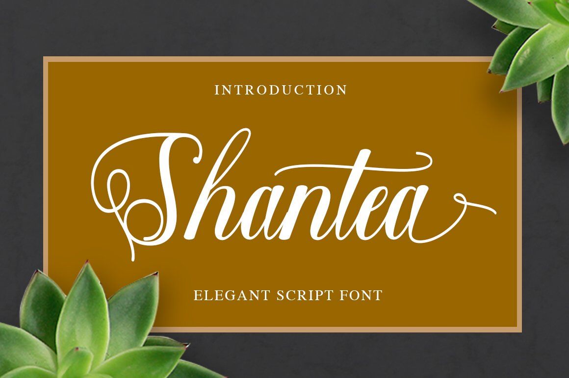 Shantea Script By Solidtype Thehungryjpeg Com