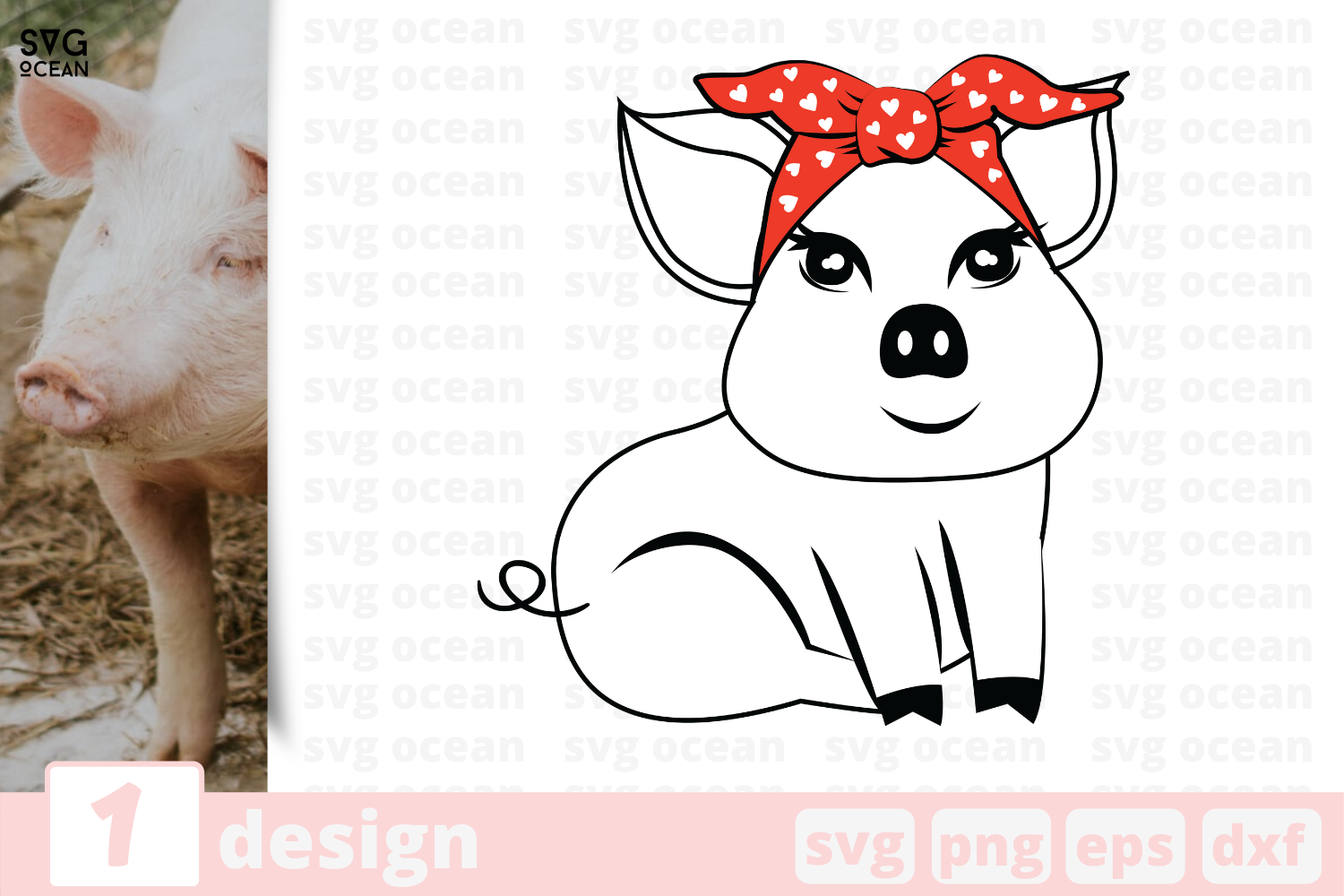 1 Pig Svg Bundle Animal Cricut Svg By Svgocean Thehungryjpeg Com