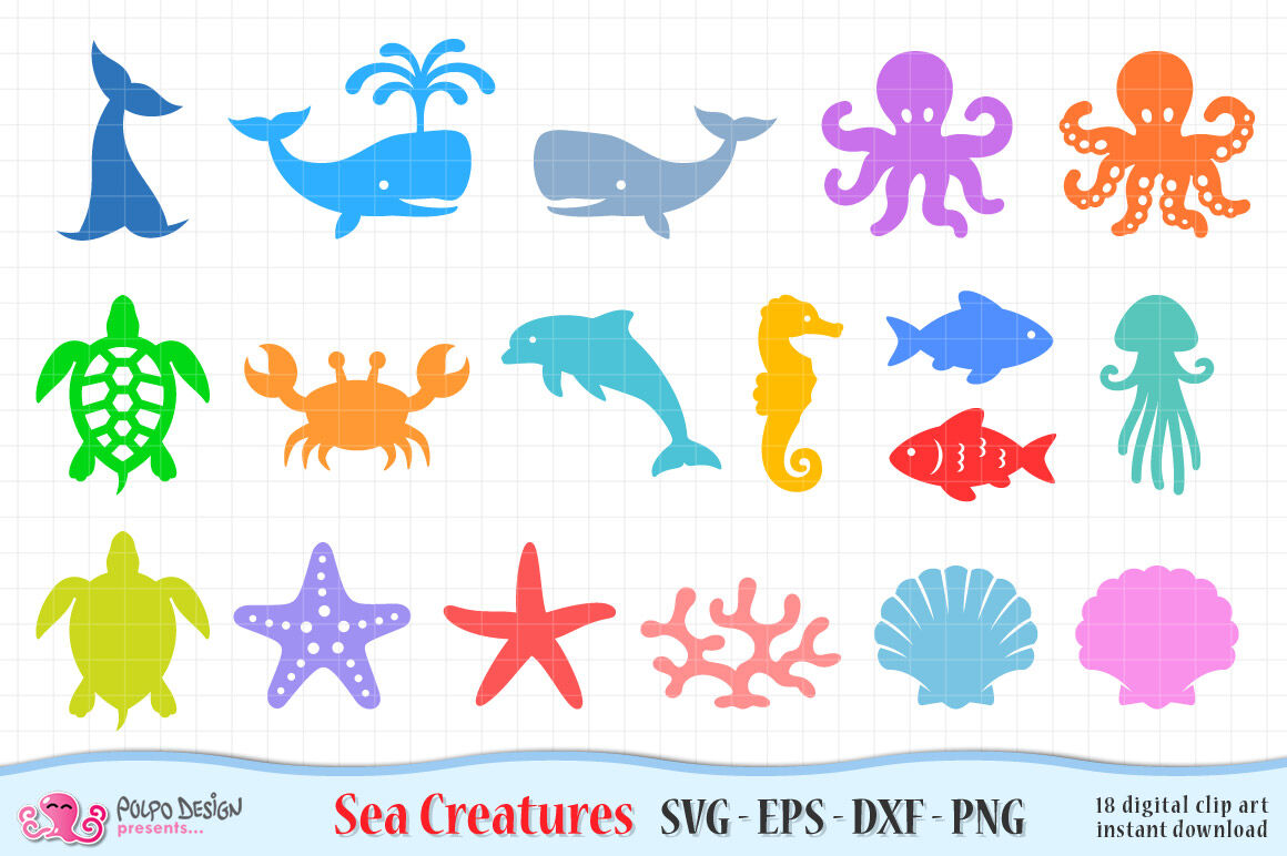 Sea Creatures Svg Eps Dxf And Png By Polpo Design Thehungryjpeg Com