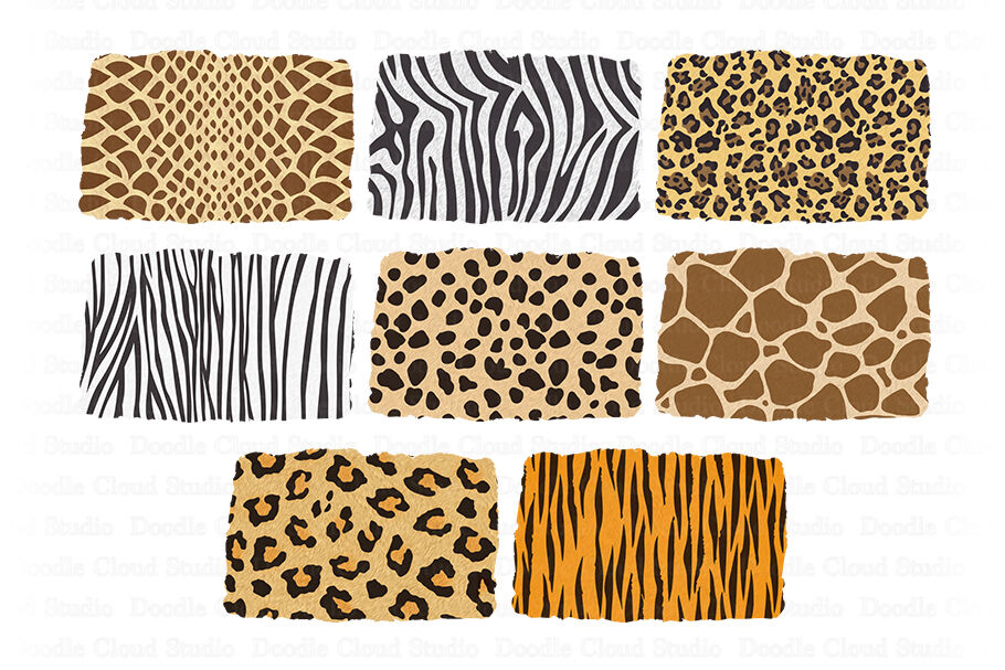 Animal Background PNG Print, PNG Design- Leopard-Cheetah-Zebra-Giraffe