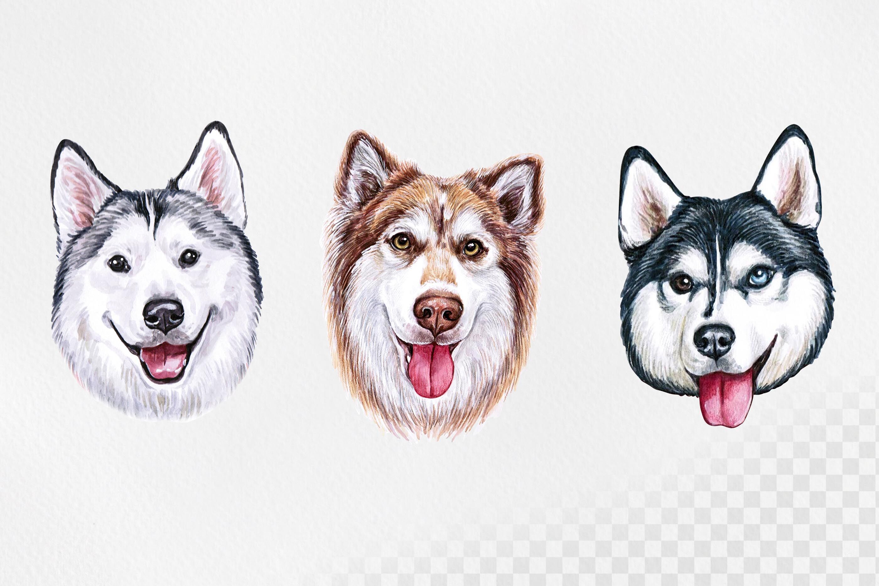 https://media1.thehungryjpeg.com/thumbs2/ori_3742968_atvsnu9b2zicnn33b1caes6d1oi47lwg3g6b59lq_siberian-husky-watercolor-set-dog-illustrations-9-dogs.jpg