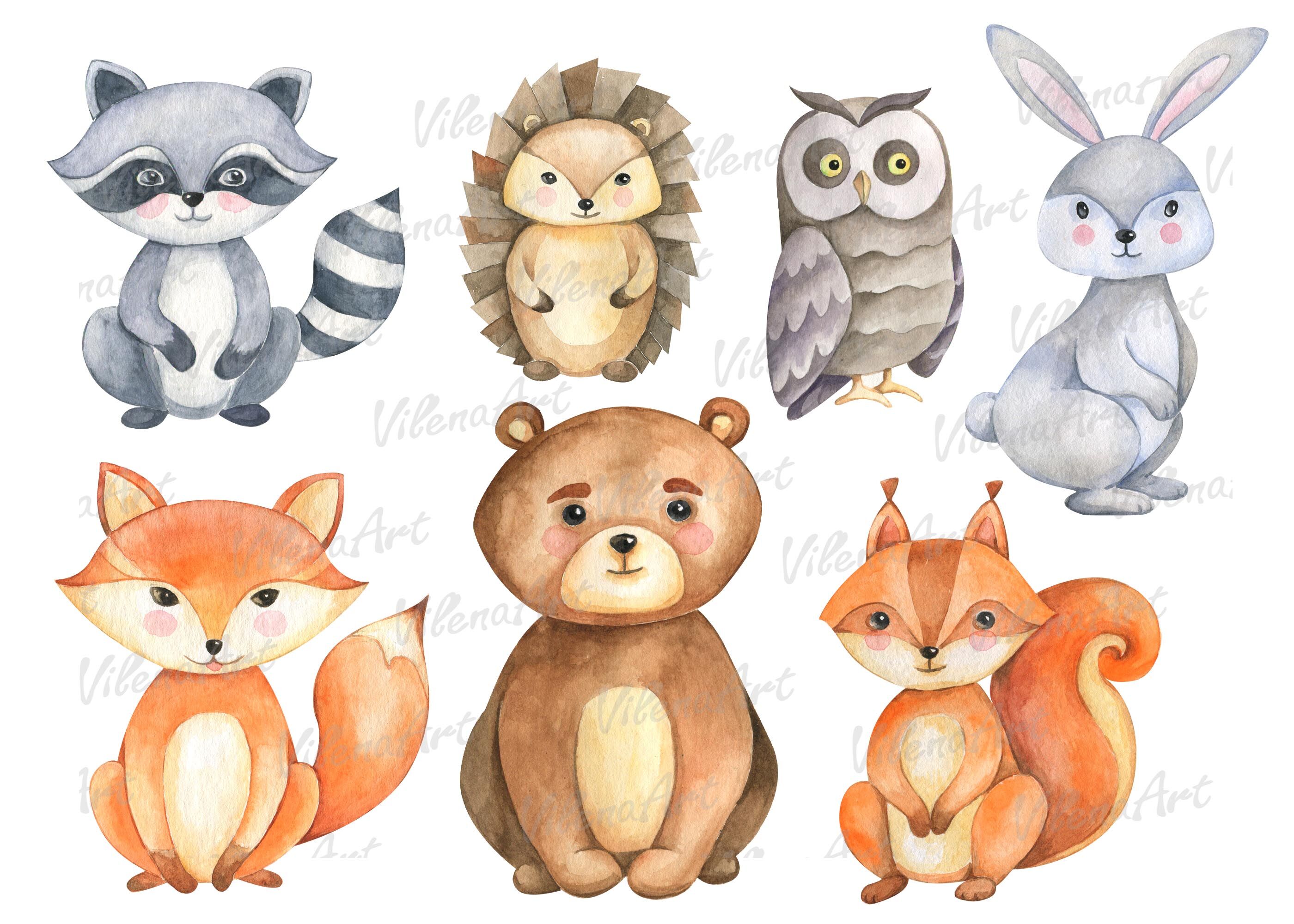 forest-animals-clipart-woodland-clip-art-watercolor-png-by-vilenaart-thehungryjpeg