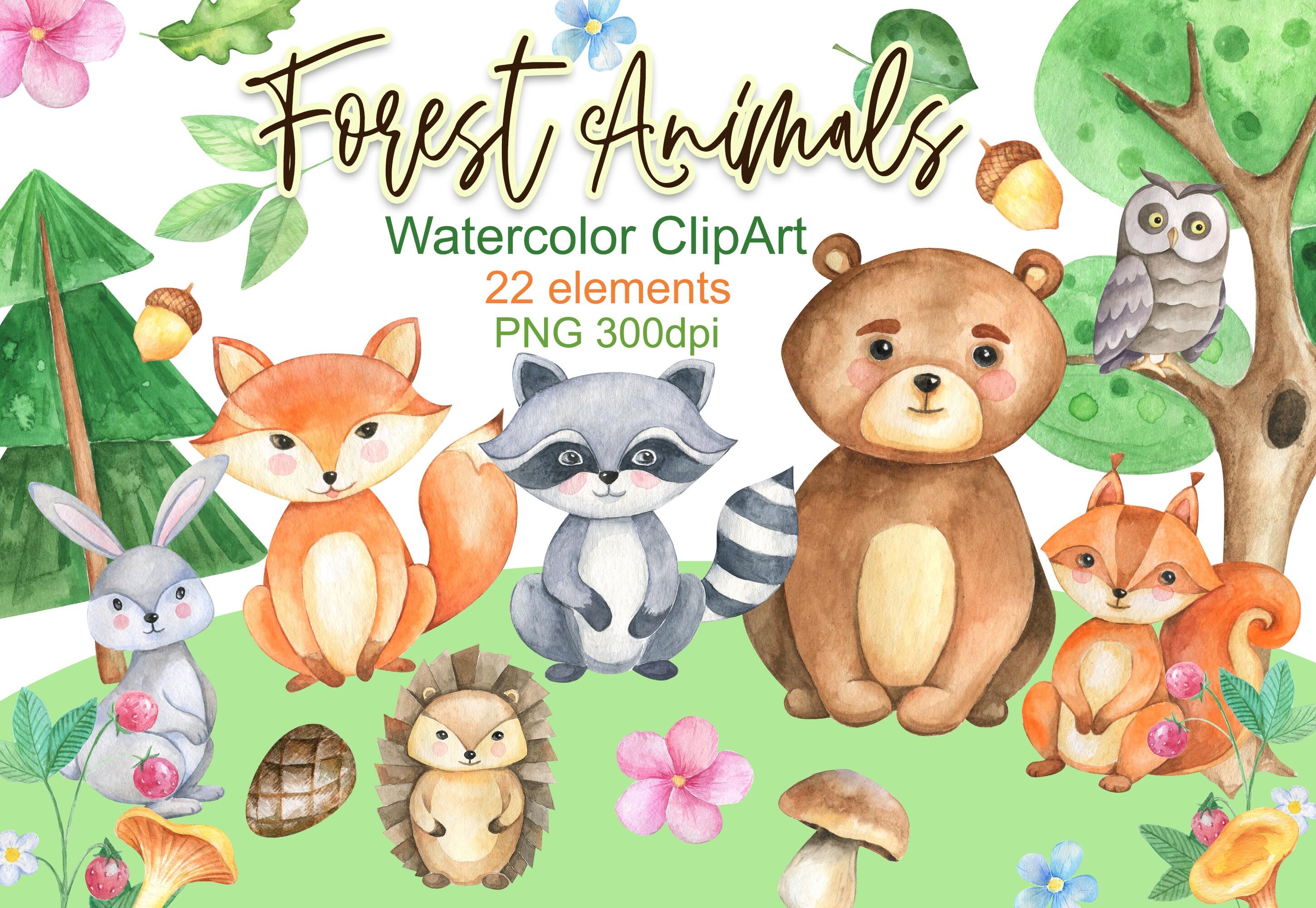 Forest Animals Clipart Woodland Clip Art Watercolor Png By Vilenaart Thehungryjpeg Com