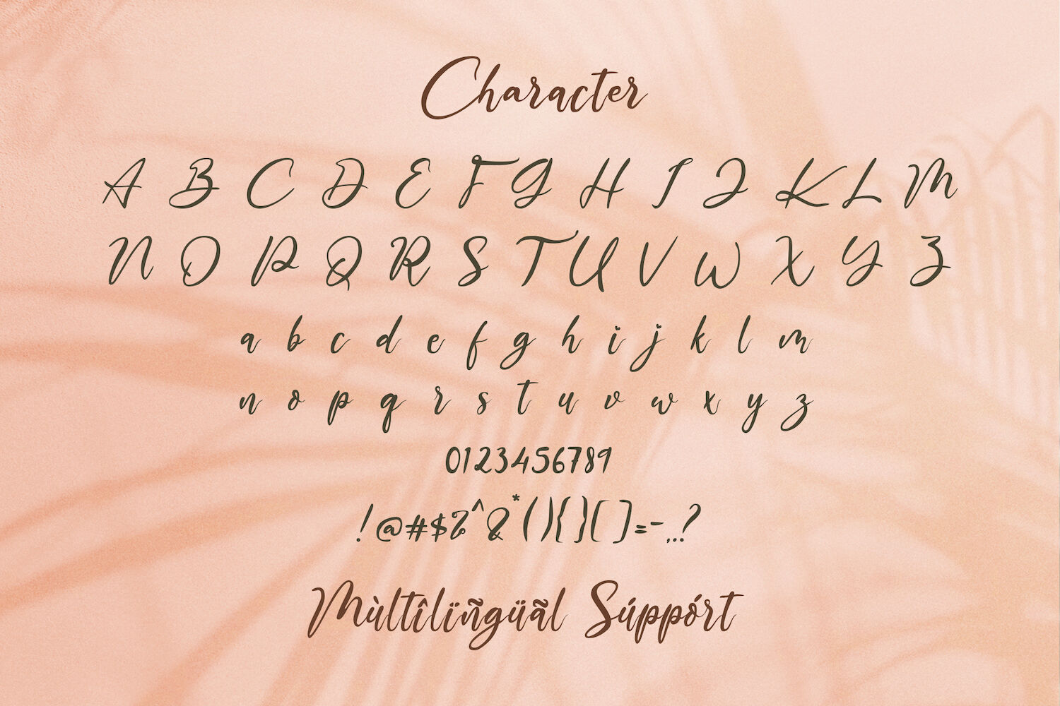 The Austin Handwritten Script Font By Stringlabs Thehungryjpeg Com