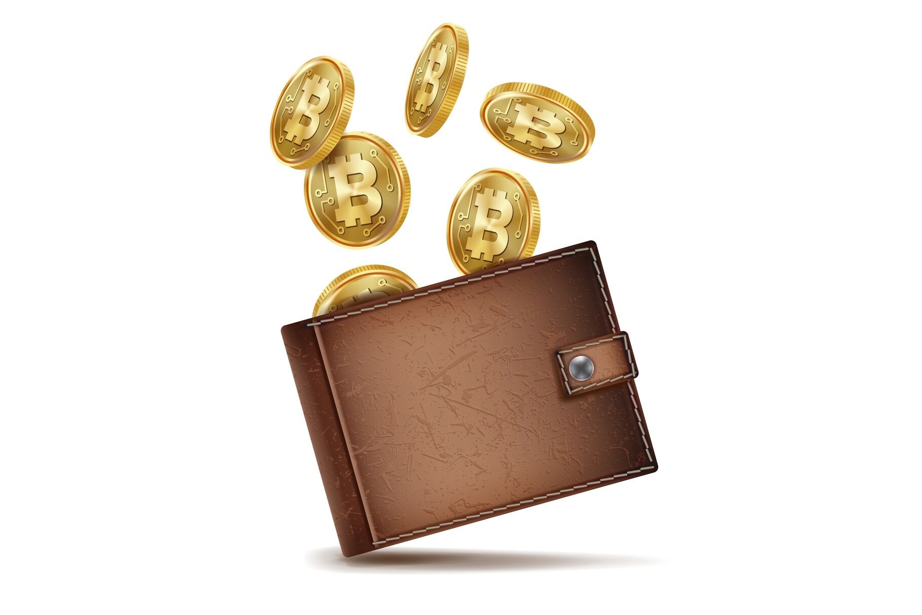 Bitcoin Wallet Vector. Money. Brown. Bitcoin Symbol ...