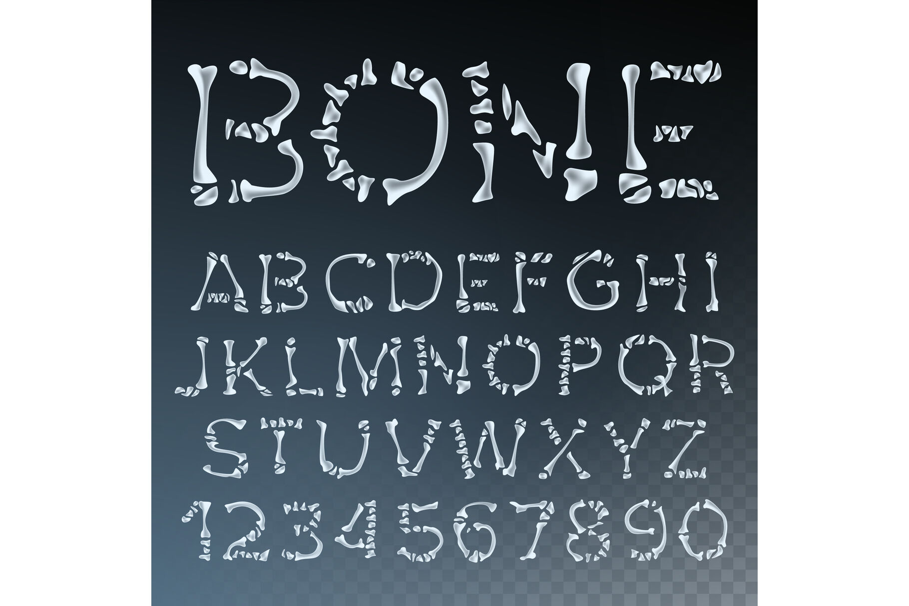Bone Font Vector Letters Anatomy Abc Alphabet Skeleton Style Hell Scary Alphabet Isolated Transparent Illustration By Pikepicture Thehungryjpeg Com