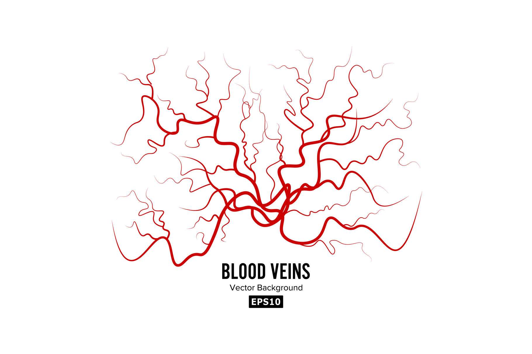 Human Blood Veins Vector By Pikepicture Thehungryjpeg Com