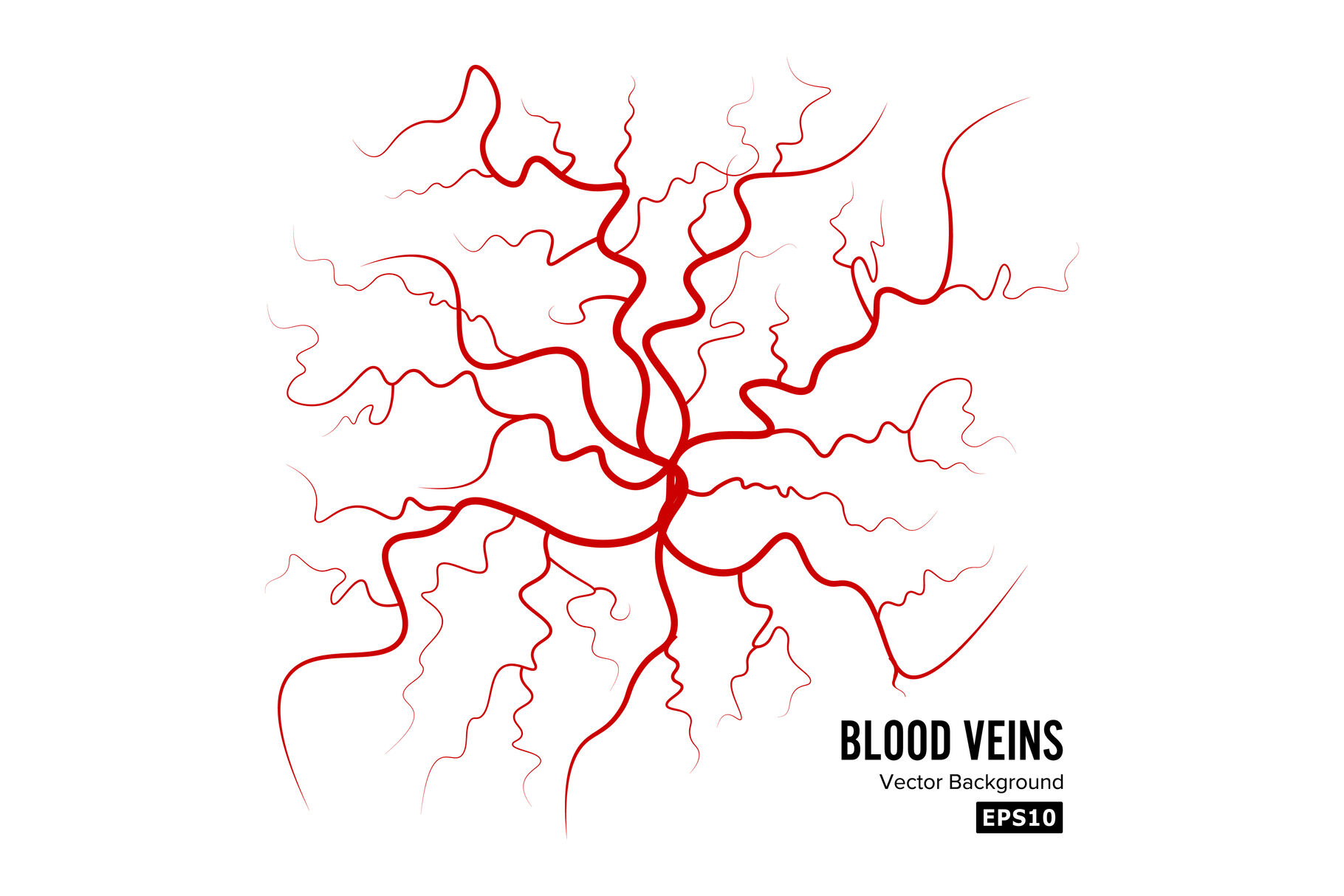 Human Blood Veins Vector Blood Arteries Isolated On White Blood Veins Image Of Health Red Veins Illustration By Pikepicture Thehungryjpeg Com