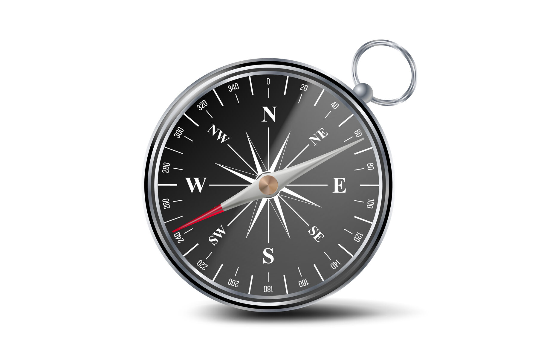 COMPASS definition and meaning